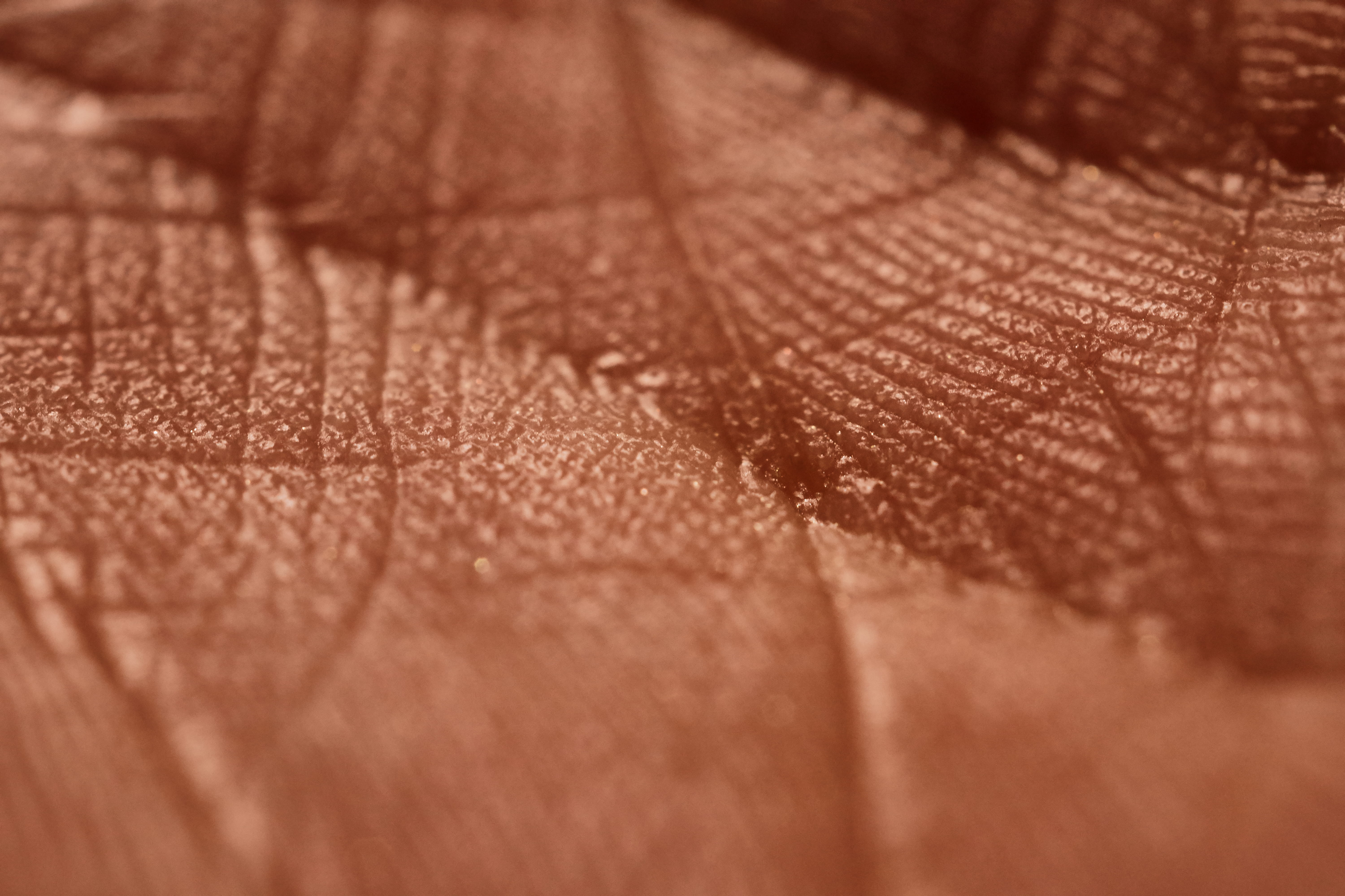 vulnerability, one person, backgrounds, hand palm, human skin, skin, indoors, selective focus, textured, 5K, brown, palma de la mano, hand, close-up, limb, HD Wallpaper