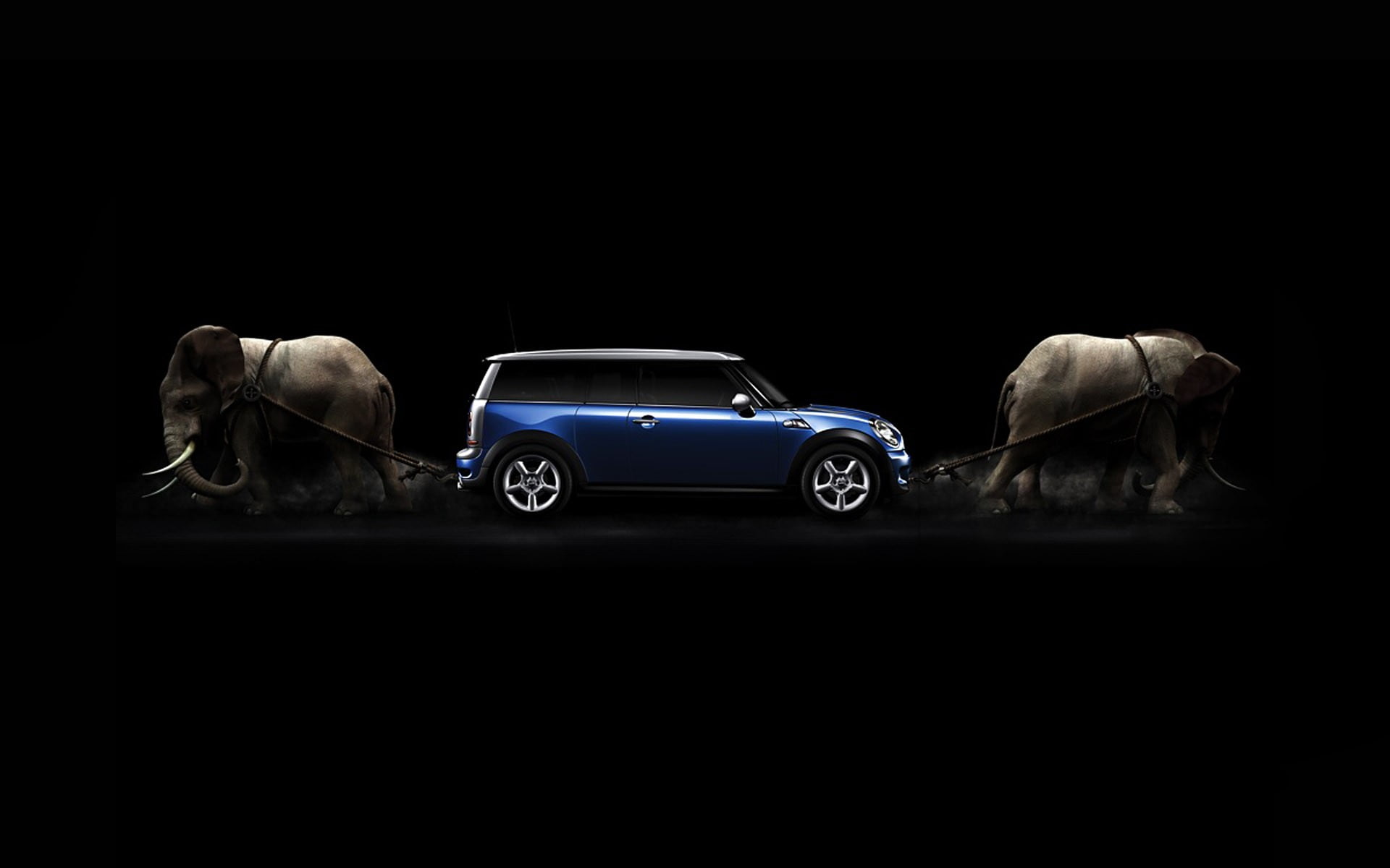 one animal, travel, livestock, illustration, people, blue cars, car, elephant, digital composite, dark, pets, domestic animals, retro styled, animals, digital art, HD Wallpaper
