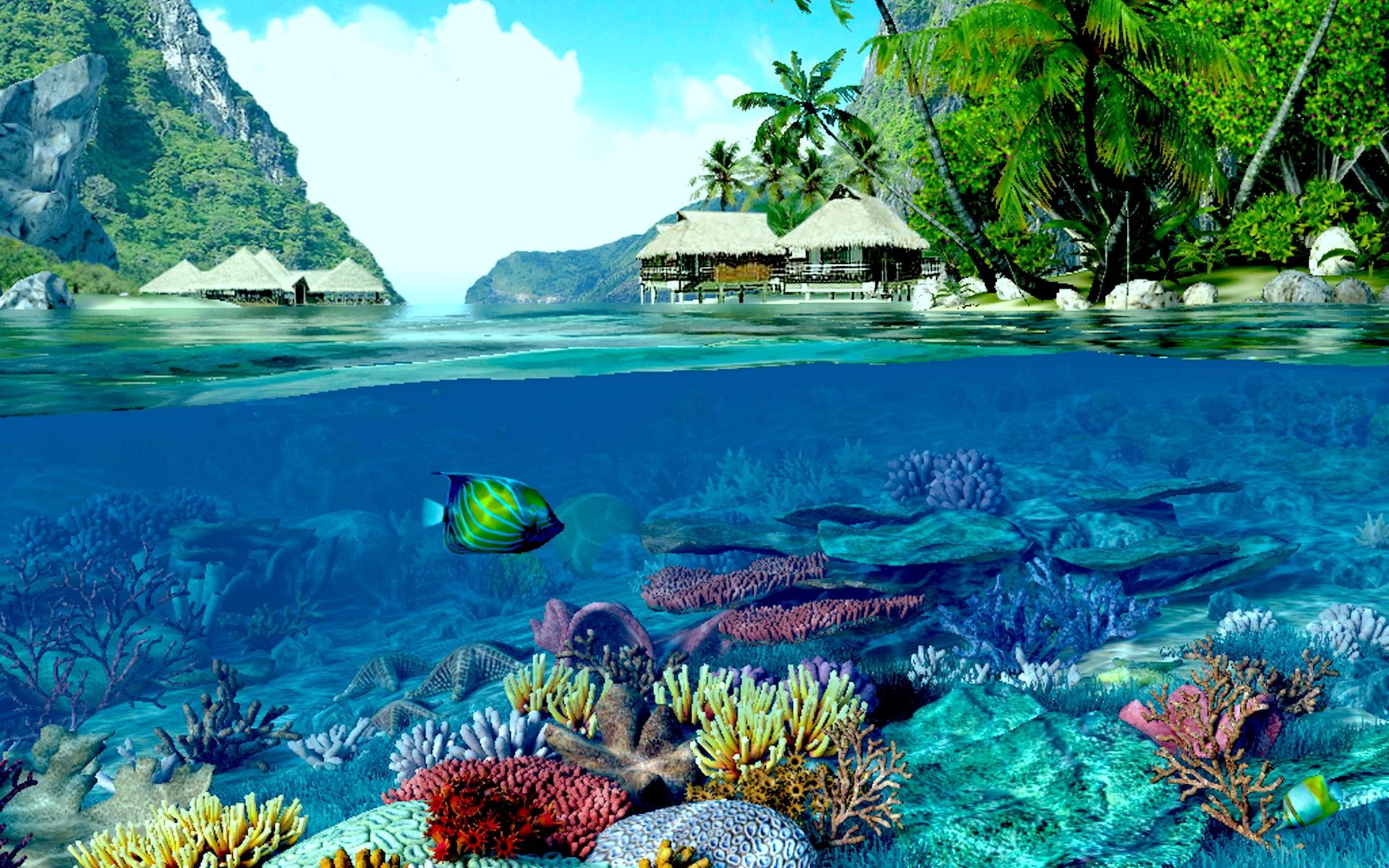 beach, water, houses, ocean, land, coral, 1080P, indigo deep, fish, coral reef, two, worlds, nature and landscapes, HD Wallpaper