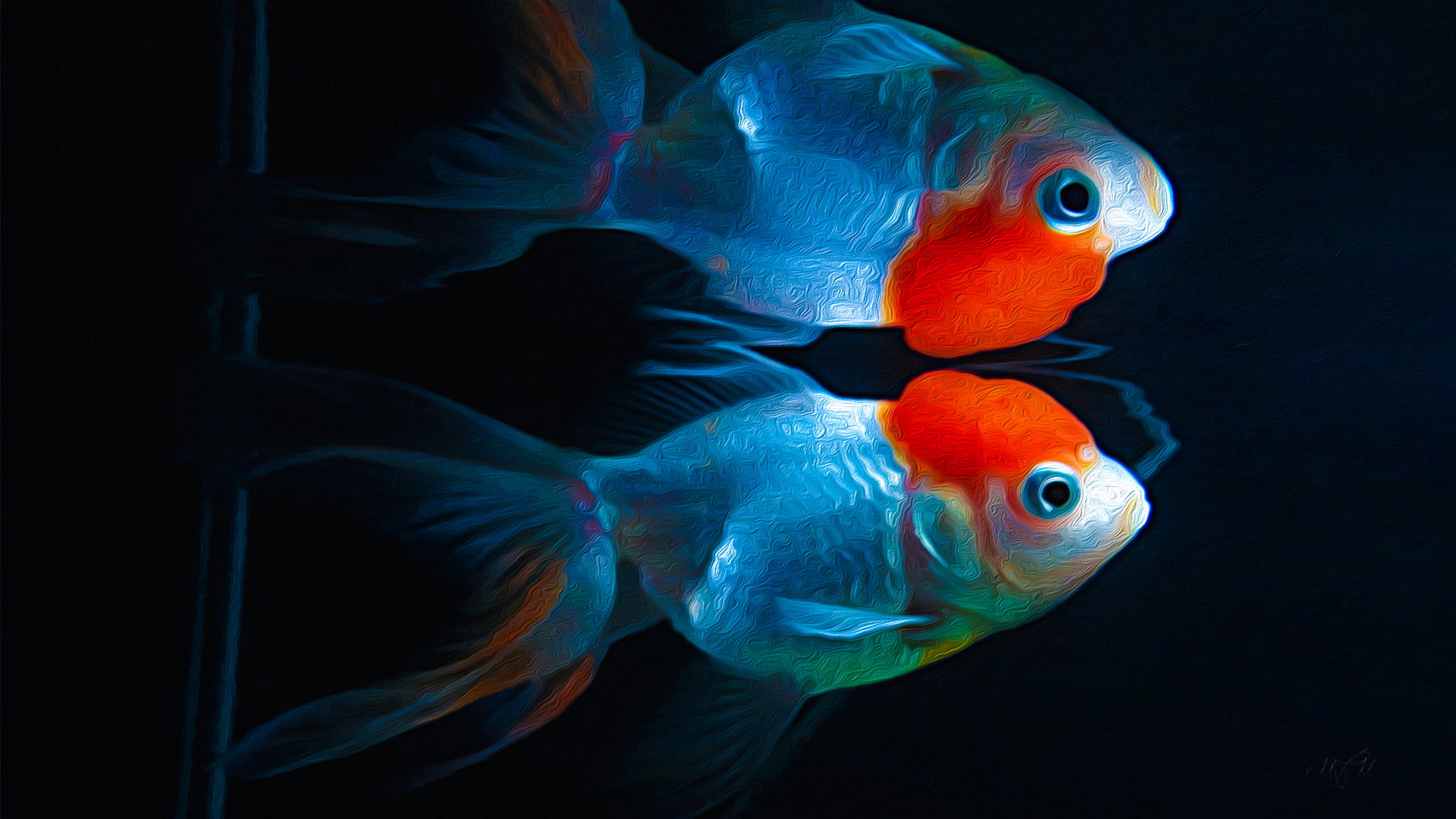 animals, undersea, sea life, animal wildlife, gray, marine, digital art, animal, kinguio, goldfish, saltwater fish, animals in the wild, colorful, black background, HD Wallpaper