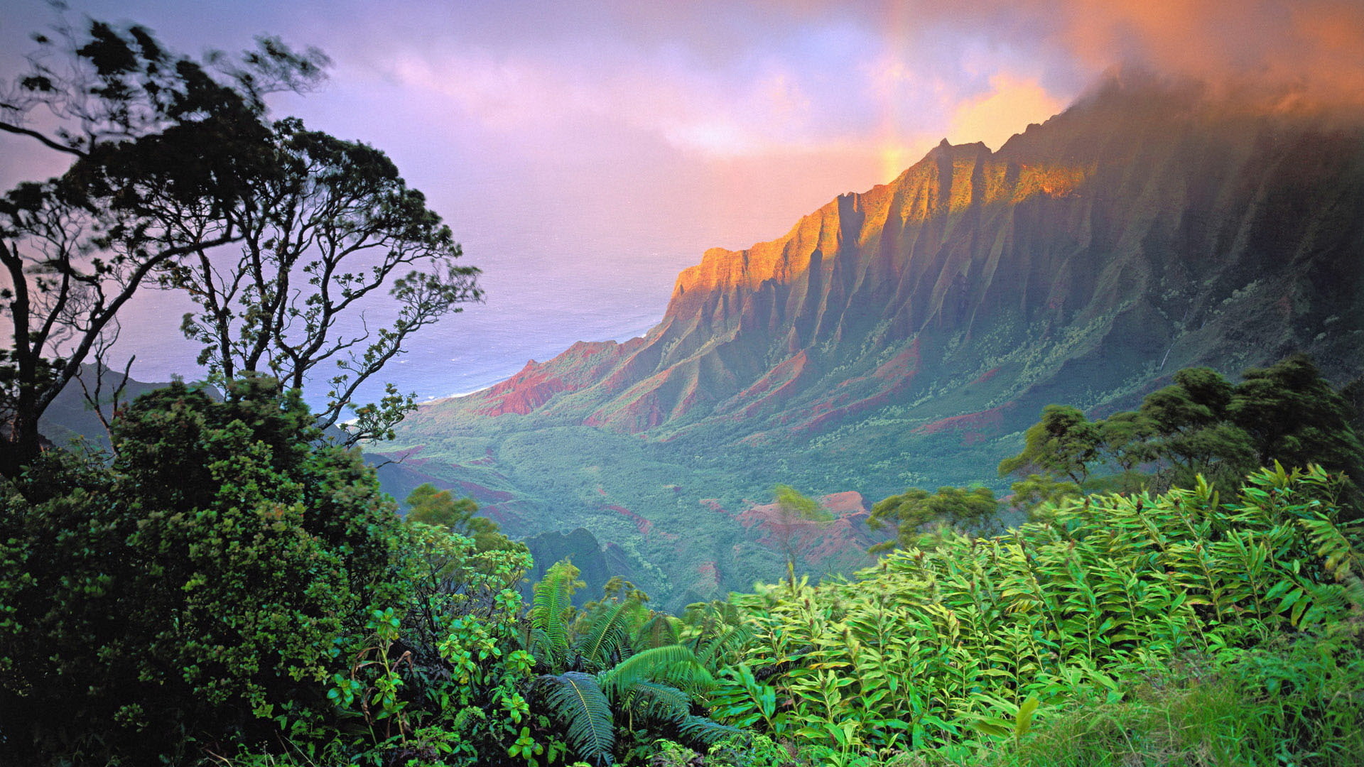 island, mountains, cliff, forest, landscape, 1080P, Hawaii, HD Wallpaper