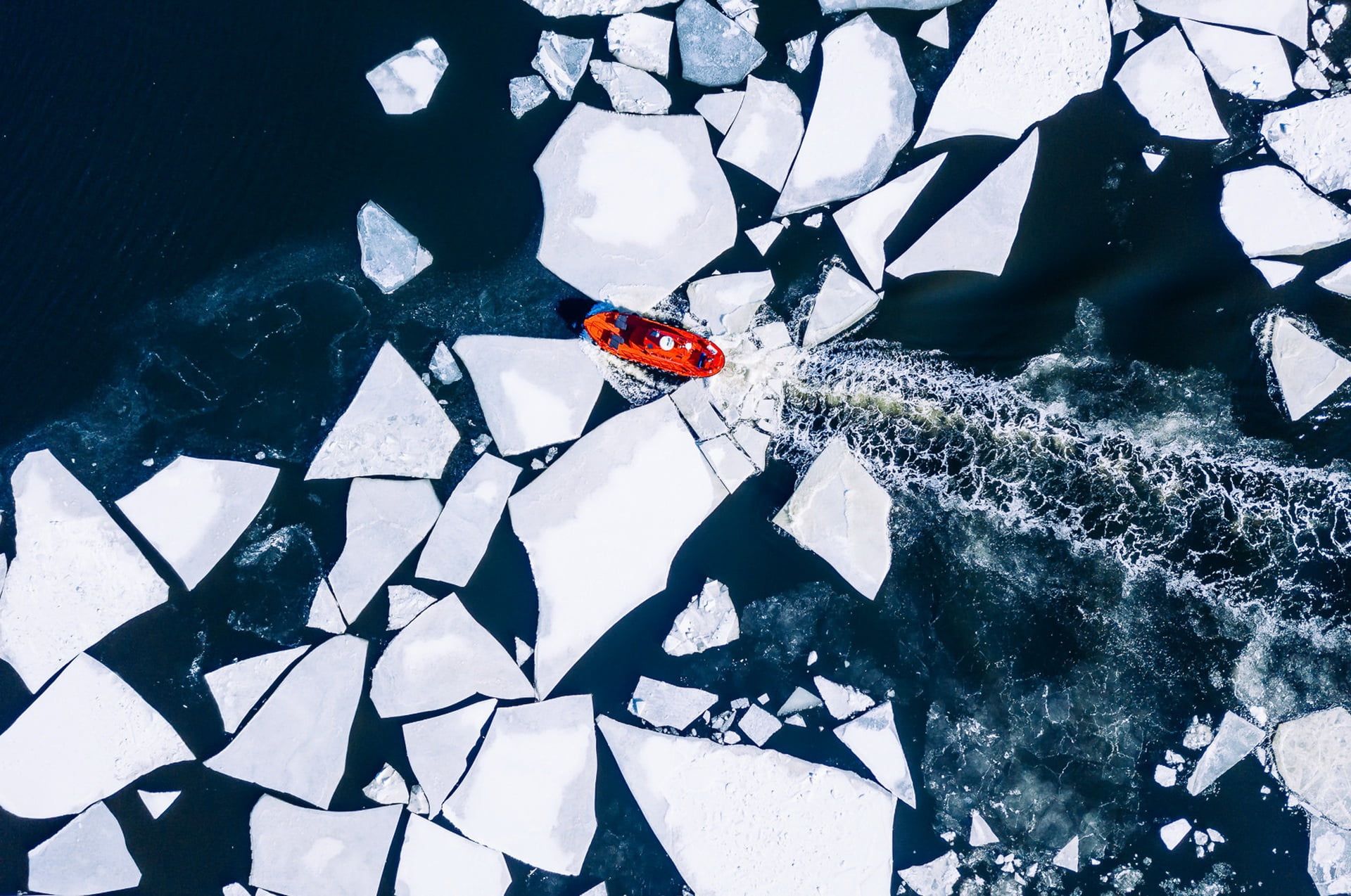 one animal, animal themes, animal wildlife, ladybug, high angle view, invertebrate, red, sea, animals in the wild, vehicle, 1080P, animal, insect, blue, HD Wallpaper