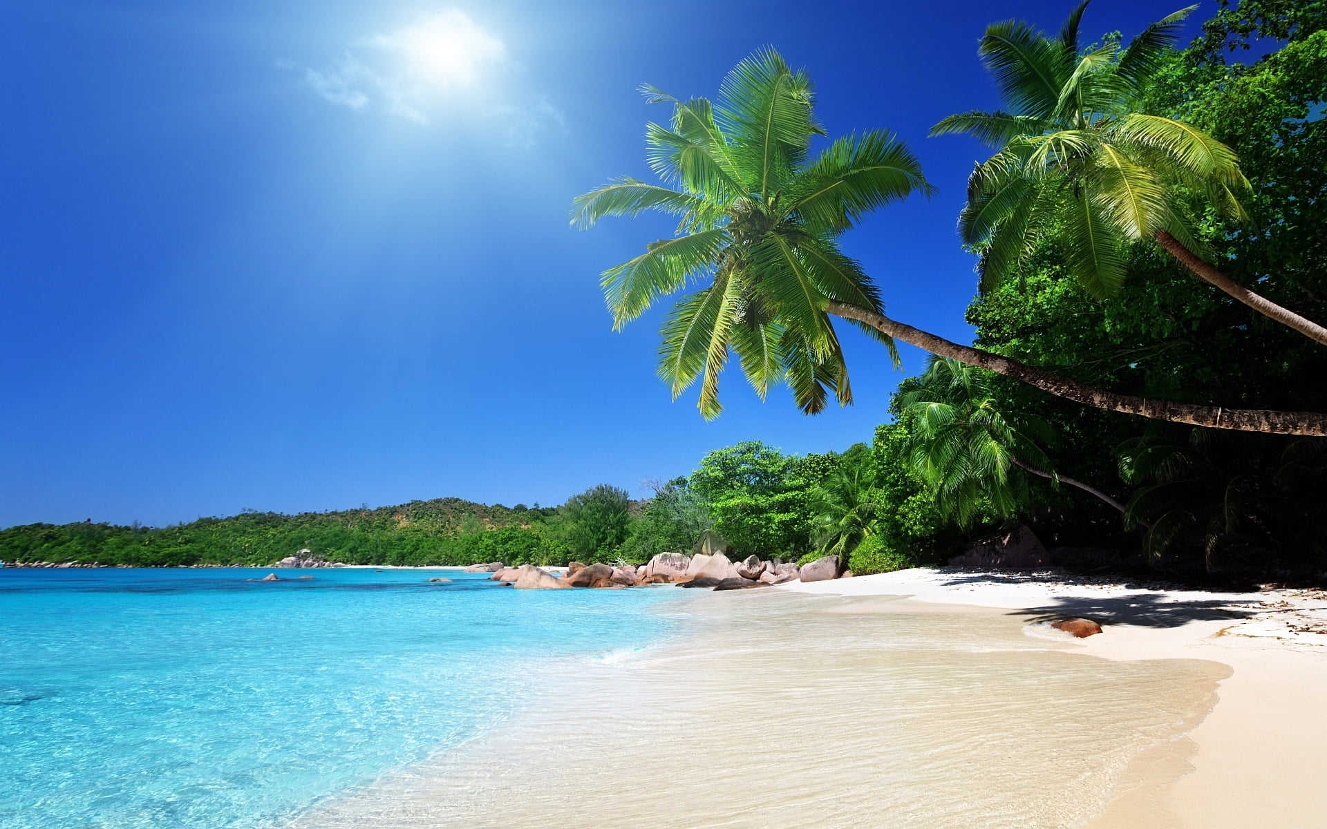 land, beauty In Nature, journey, sand, bay Of Water, tropical tree, coconut Palm Tree, sky, beach, wave, seychelles, exoticism, palm Tree, scenics - nature, HD Wallpaper