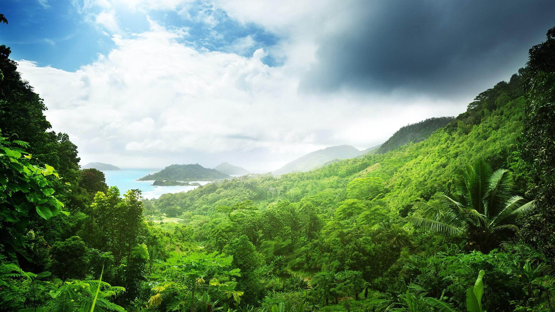 clouds, green, cloud - sky, green color, rainforest, land, tranquility, vegetation, lush foliage, beauty in nature, indian ocean, tree, plant, ecosystem, HD Wallpaper