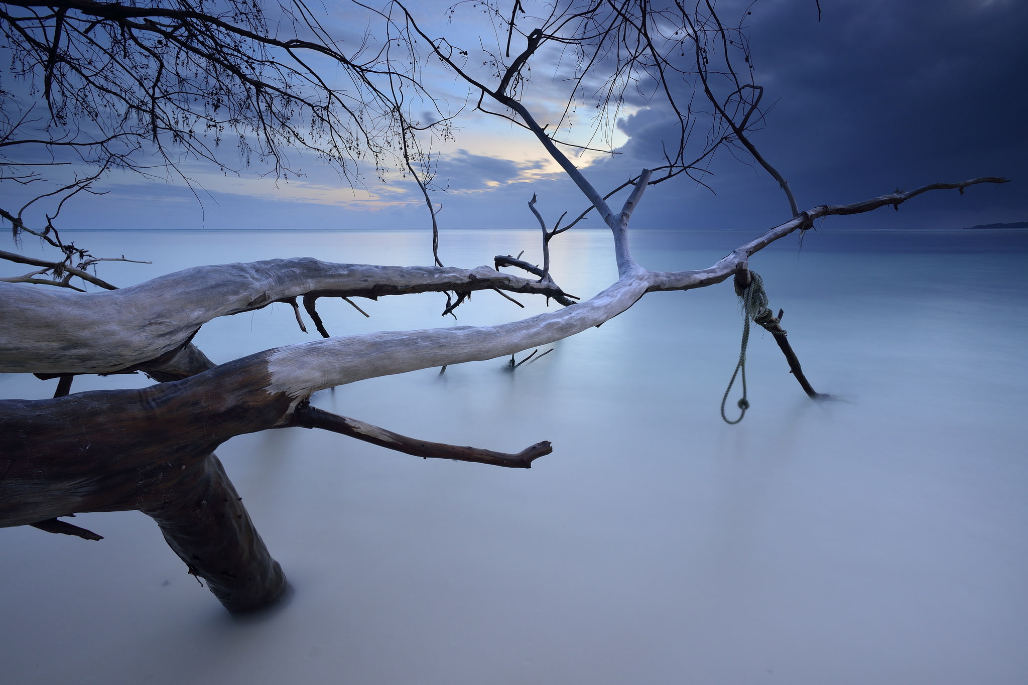 the ocean, Praslin, 1080P, trees, clouds, The Seychelles archipelago, beach, HD Wallpaper