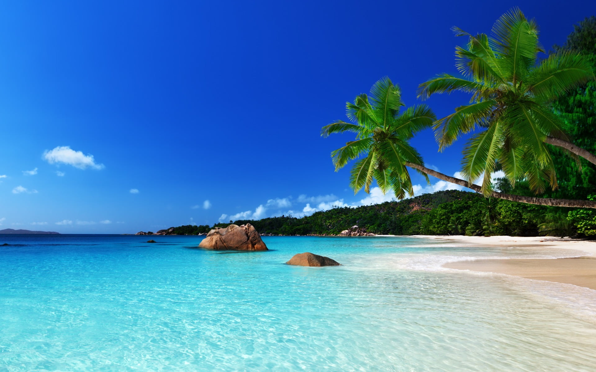 wave, no People, bay Of Water, day, relaxation, outdoors, seashore, coastline, white, palm, tourist Resort, journey, water, trees, plant, turquoise Colored, HD Wallpaper