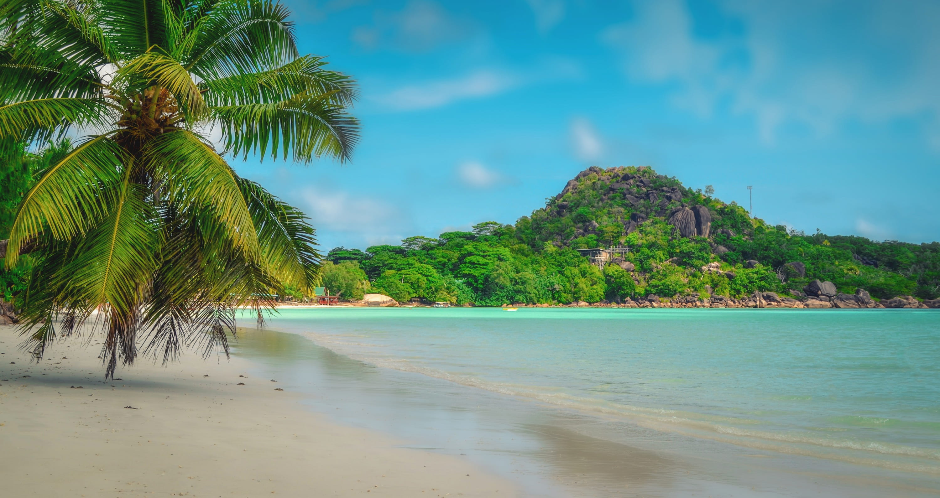 turquoise colored, outdoors, coconut palm tree, palm tree, travel, day, no people, 2K, the idyllic, scenics - nature, sandy beach, holidays, praslin, palma, HD Wallpaper
