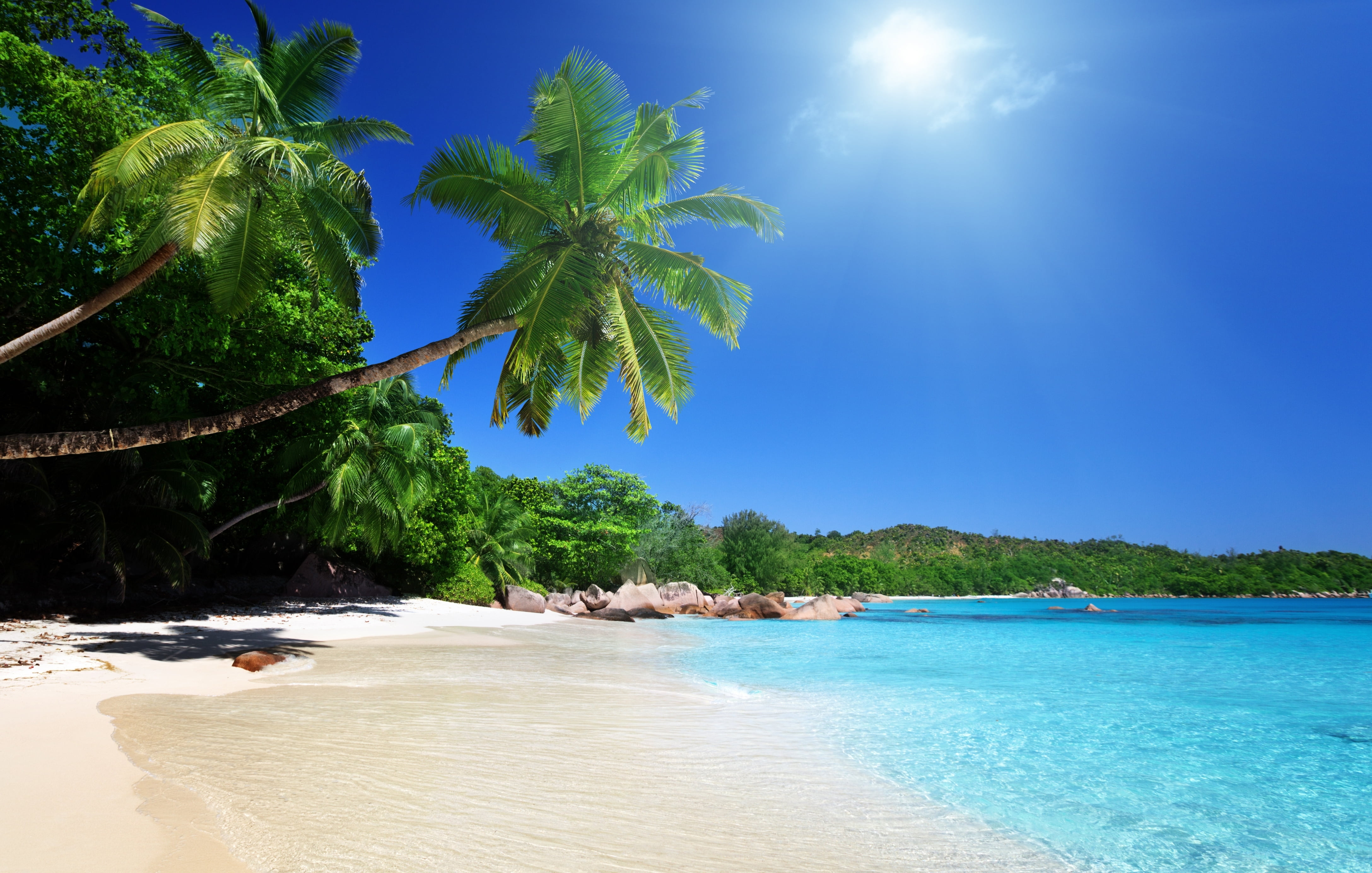 clouds, sunlight, exoticism, turquoise Colored, lagoon, praslin Island, travel, day, caribbean Sea, sea, nature, land, sunny, tree, blue, tranquil Scene, HD Wallpaper