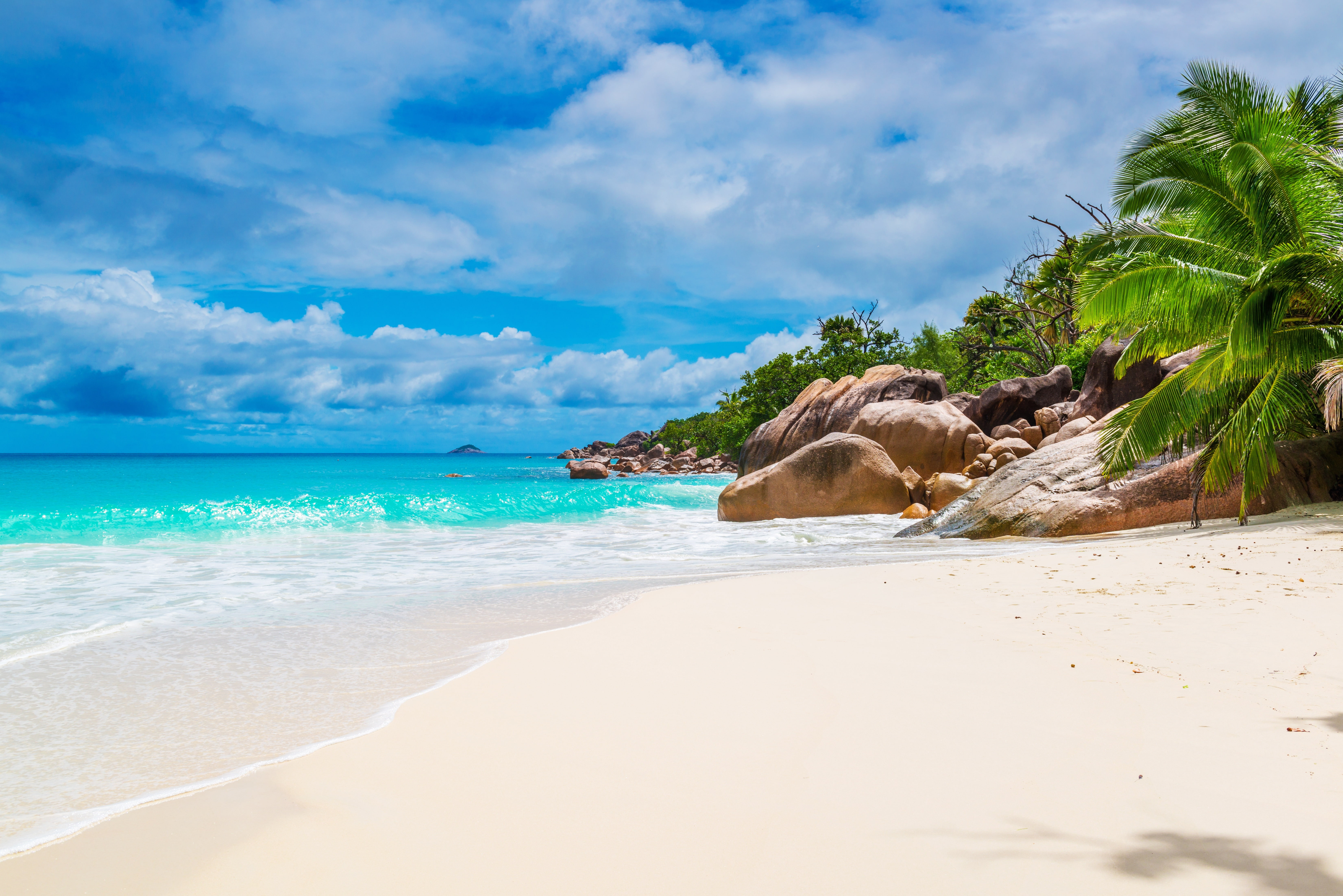 tree, coastline, paradise, day, wave, landscape, shore, summer, coconut Palm Tree, tourist Resort, lagoon, tourism, sun, island, beauty In Nature, no People, HD Wallpaper