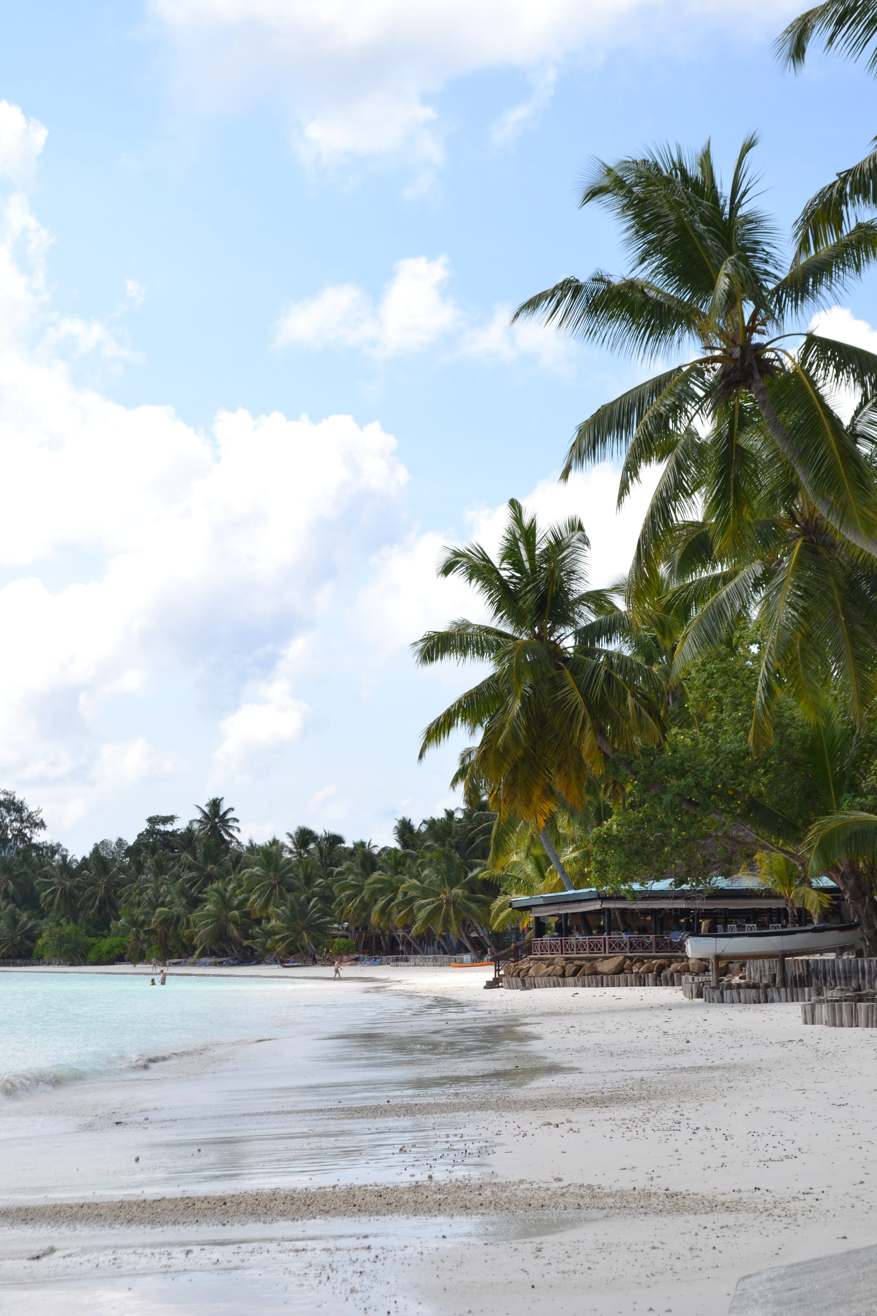 paradise, travel, 4K, tranquility, landscape, praslin, vacations, ocean, white, growth, lagoon, tree, travel Destinations, Praslin, Island, Seychelles, Phone HD Wallpaper