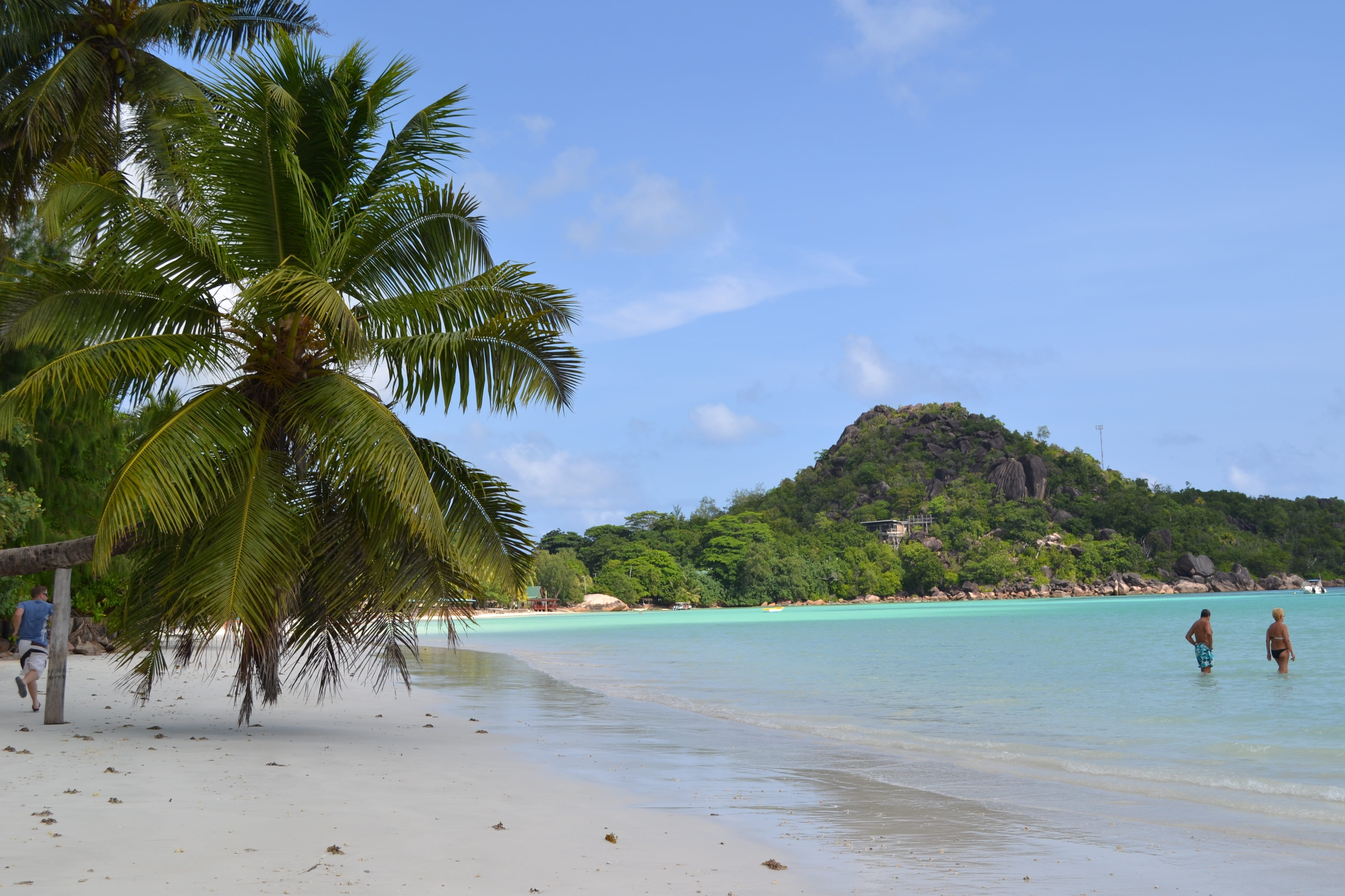 palm Tree, scenics - nature, sand, tourist Resort, coconut Palm Tree, island, scenics, coastline, beach, outdoors, land, travel, leisure activity, growth, HD Wallpaper