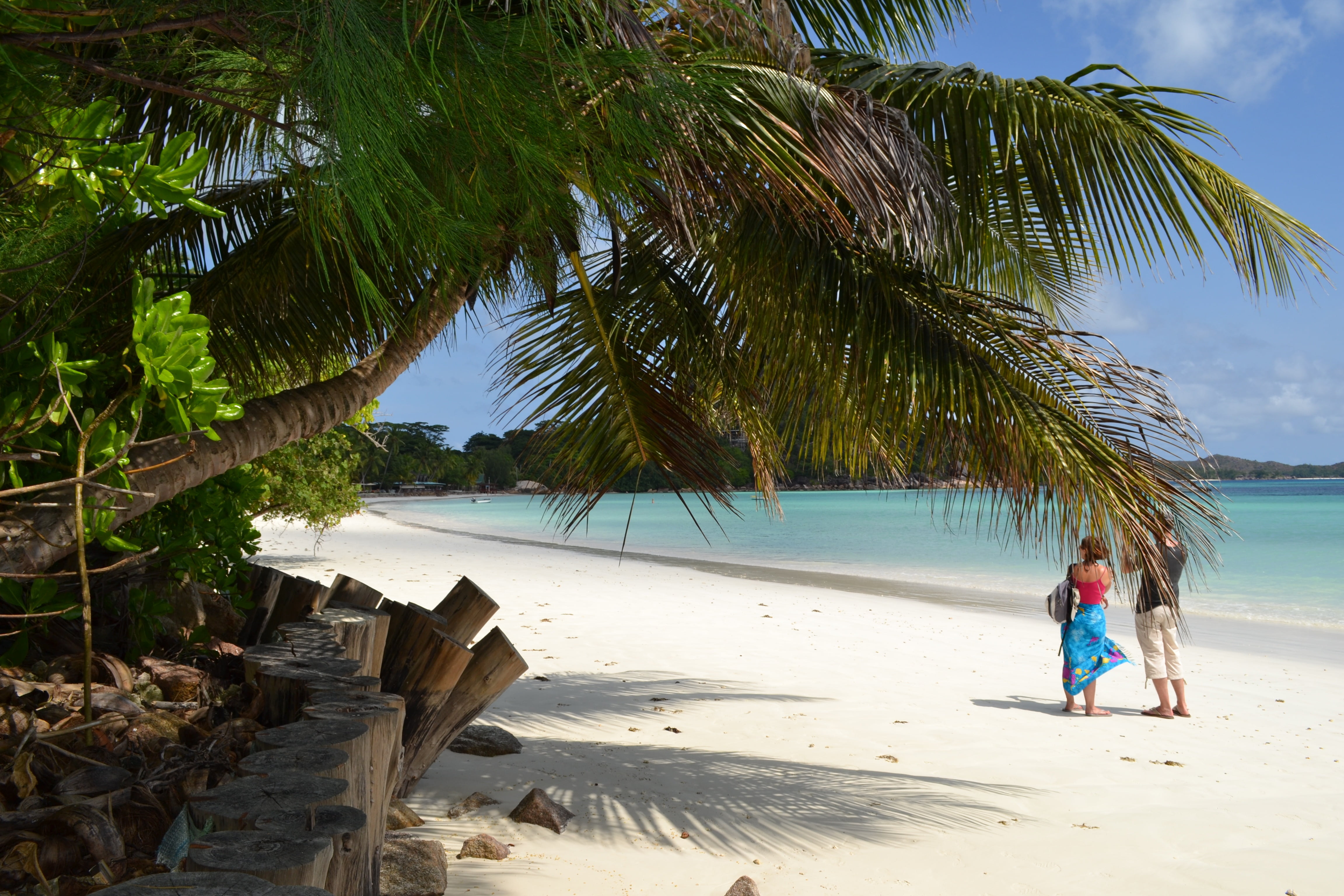 sea, palm tree, trip, sun, man, woman, women, holiday, shore, seychelles, beach, travel, waters edge, vacations, outdoors, blue, ocean, nature, adult, walking, HD Wallpaper