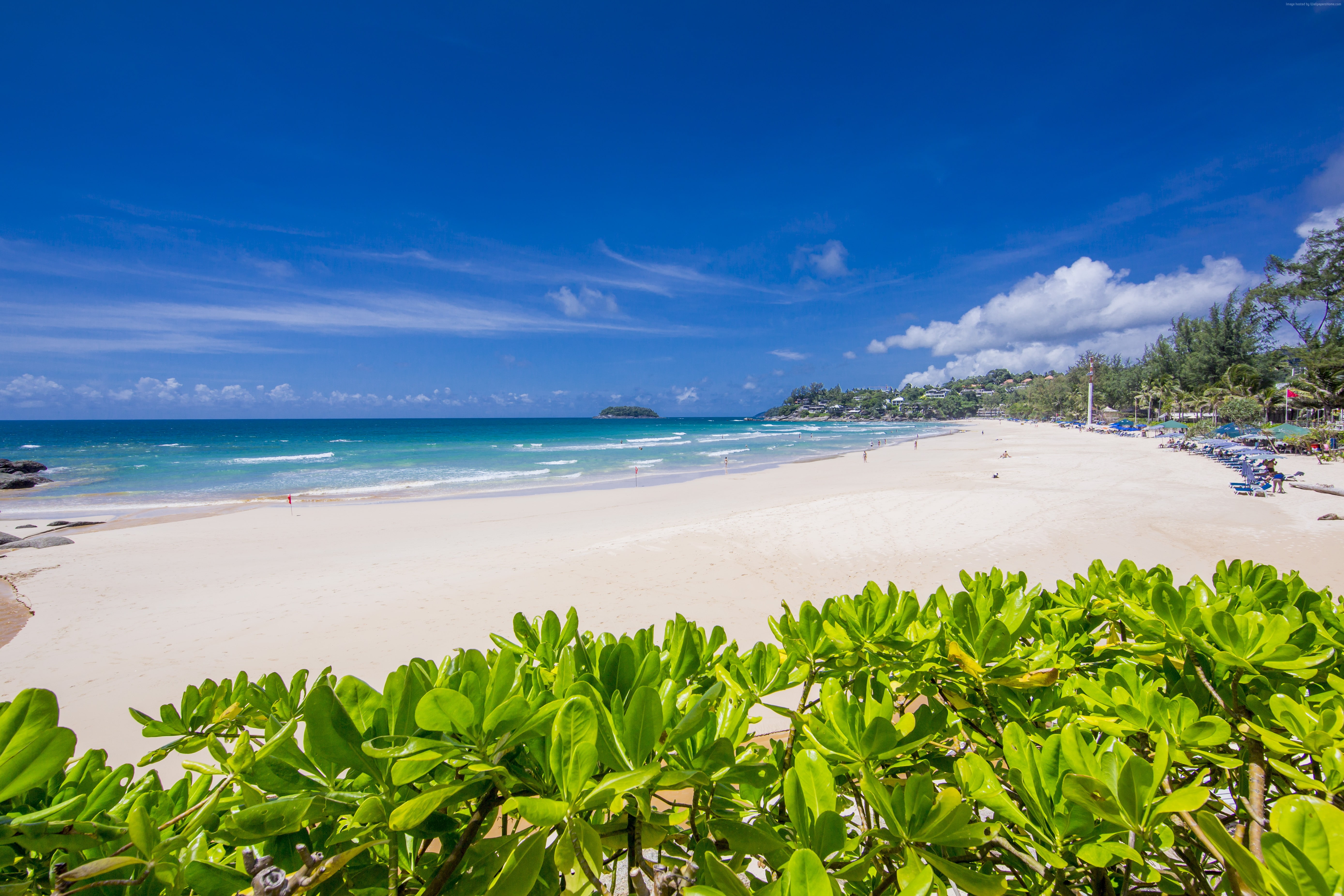 scenics - nature, 5K, land, Kata Noi Beach, tranquil scene, Thailand, Karon, tree, sand, horizon, no people, plant, coconut palm tree, sky, sea, tropical climate, HD Wallpaper