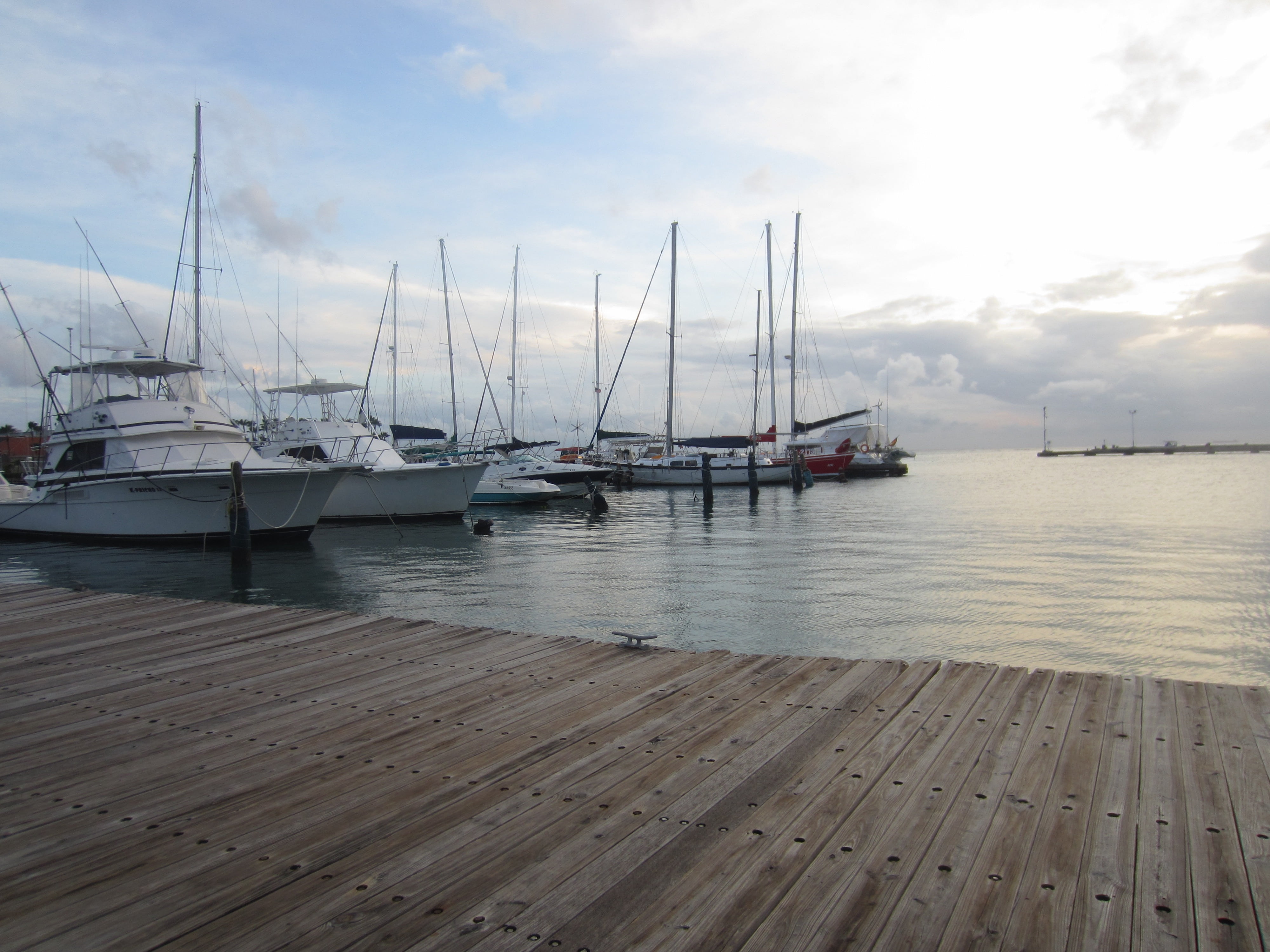 4K, wood - material, island, sea, water, transportation, antilles, pole, sailing boat, aruba, beauty in nature, port, moored, blue, yacht, marina, sailboat, HD Wallpaper
