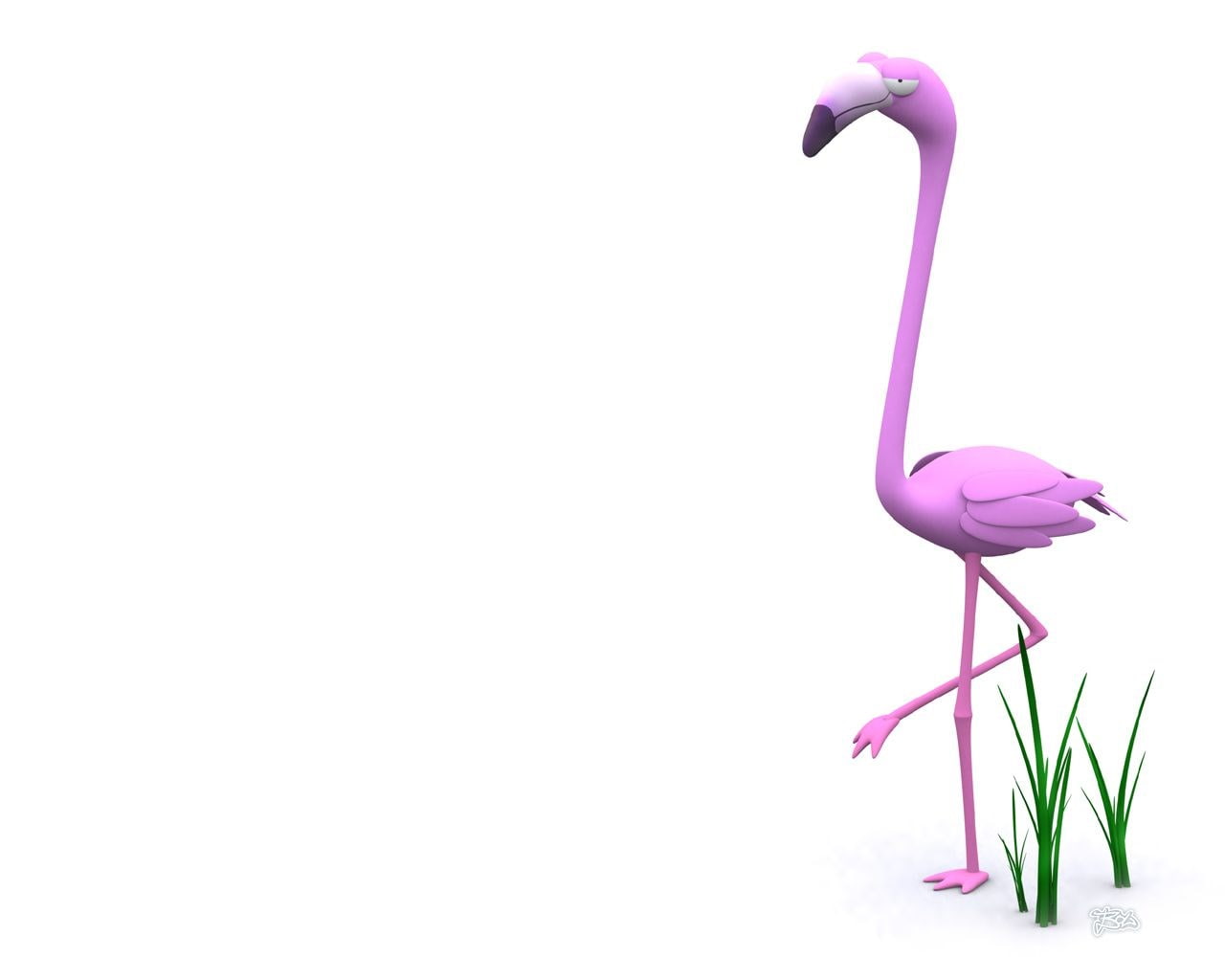 flower, flowering plant, magenta, cut out, no people, flamingo, single object, beauty in nature, plant, indoors, bird, copy space, flower head, close-up, HD Wallpaper