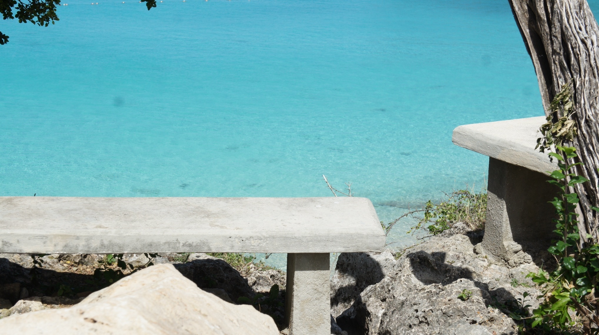 turquoise, ocean, stone bench, holiday, sea, tree, nature, day, land, high angle view, turquoise colored, view, tranquility, architecture, water, landscape, HD Wallpaper