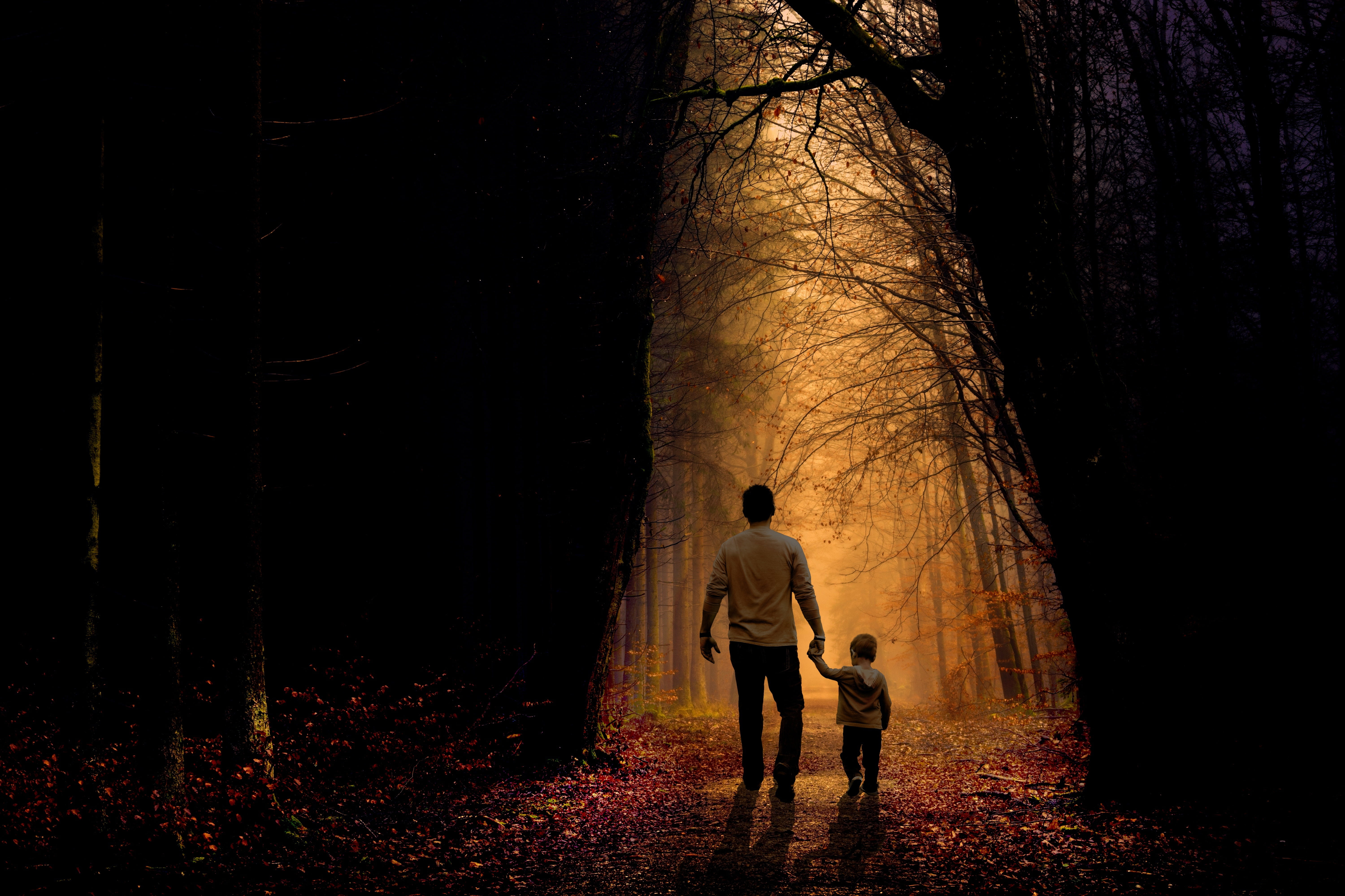 walking, mystery, love, woodland, white, long, standing, lifestyles, footpath, autumn, dark, trunk, 5K, people, s, males, men, fog, caucasian Ethnicity, HD Wallpaper