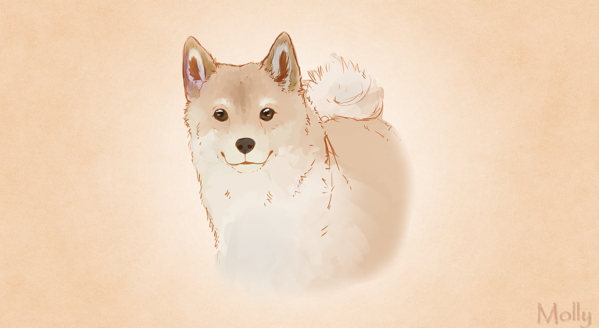domestic animals, Drawings, representation, dogs, animal, animals, canine, molly, pet, animal head, fun, no people, close-up, pets, shiba, inu, studio shot, HD Wallpaper