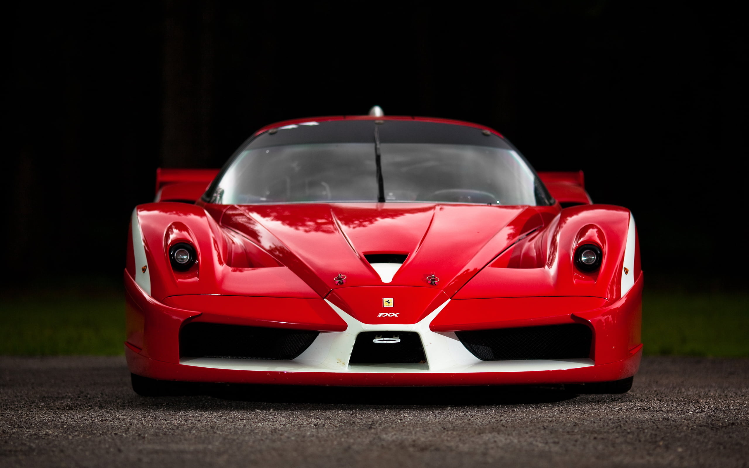 land vehicle, Ferrari FXX, luxury, toy, indoors, coupe, car, Ferrari, motor vehicle, studio shot, 2K, night, red, vehicle, toy car, transportation, red cars, HD Wallpaper