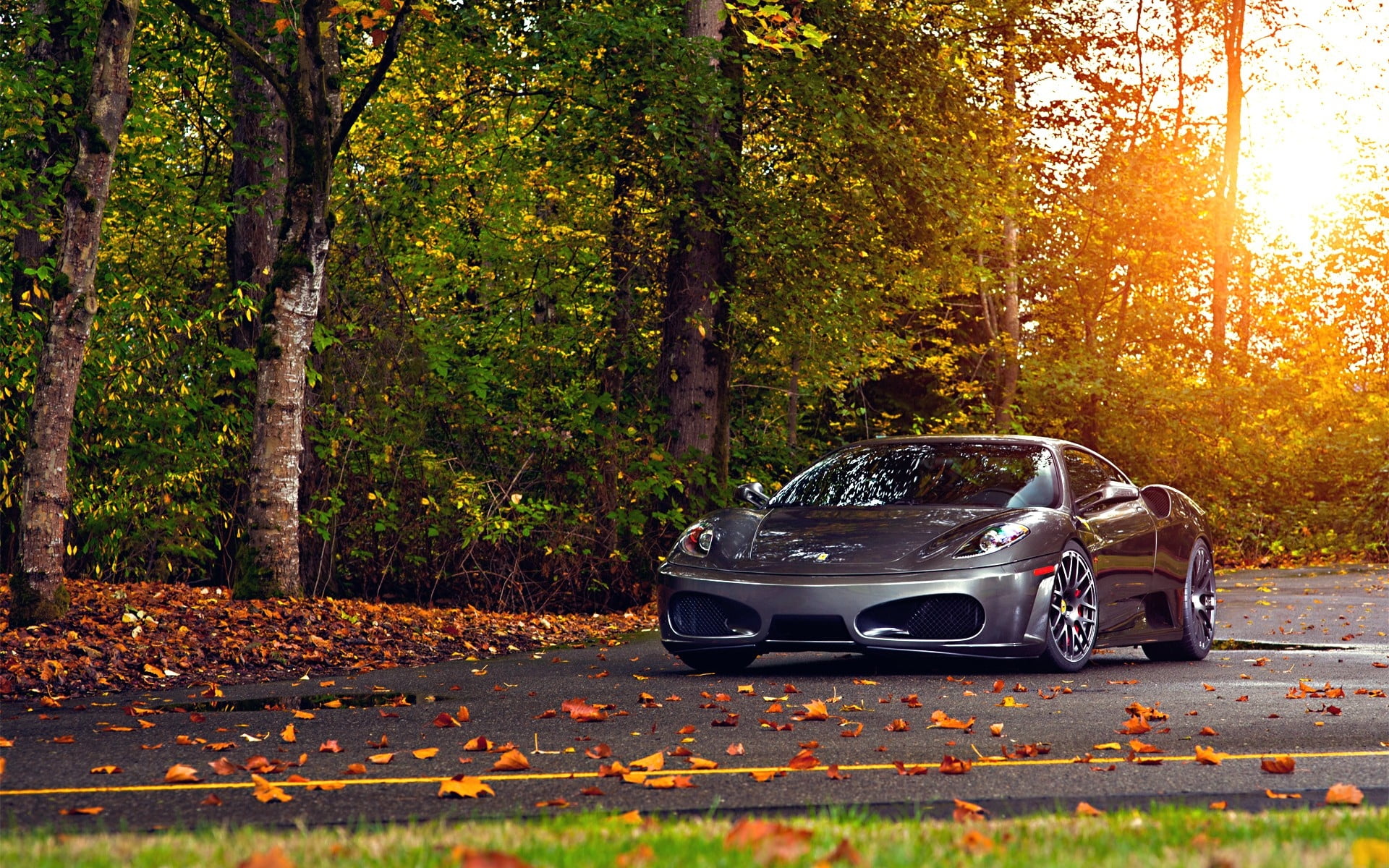 speed, 1080P, red, forest, sports, road, modern, land Vehicle, shiny, germany, wheel, vehicle, leaves, motor vehicle, yellow, canada, autumn, street, sports Car, HD Wallpaper