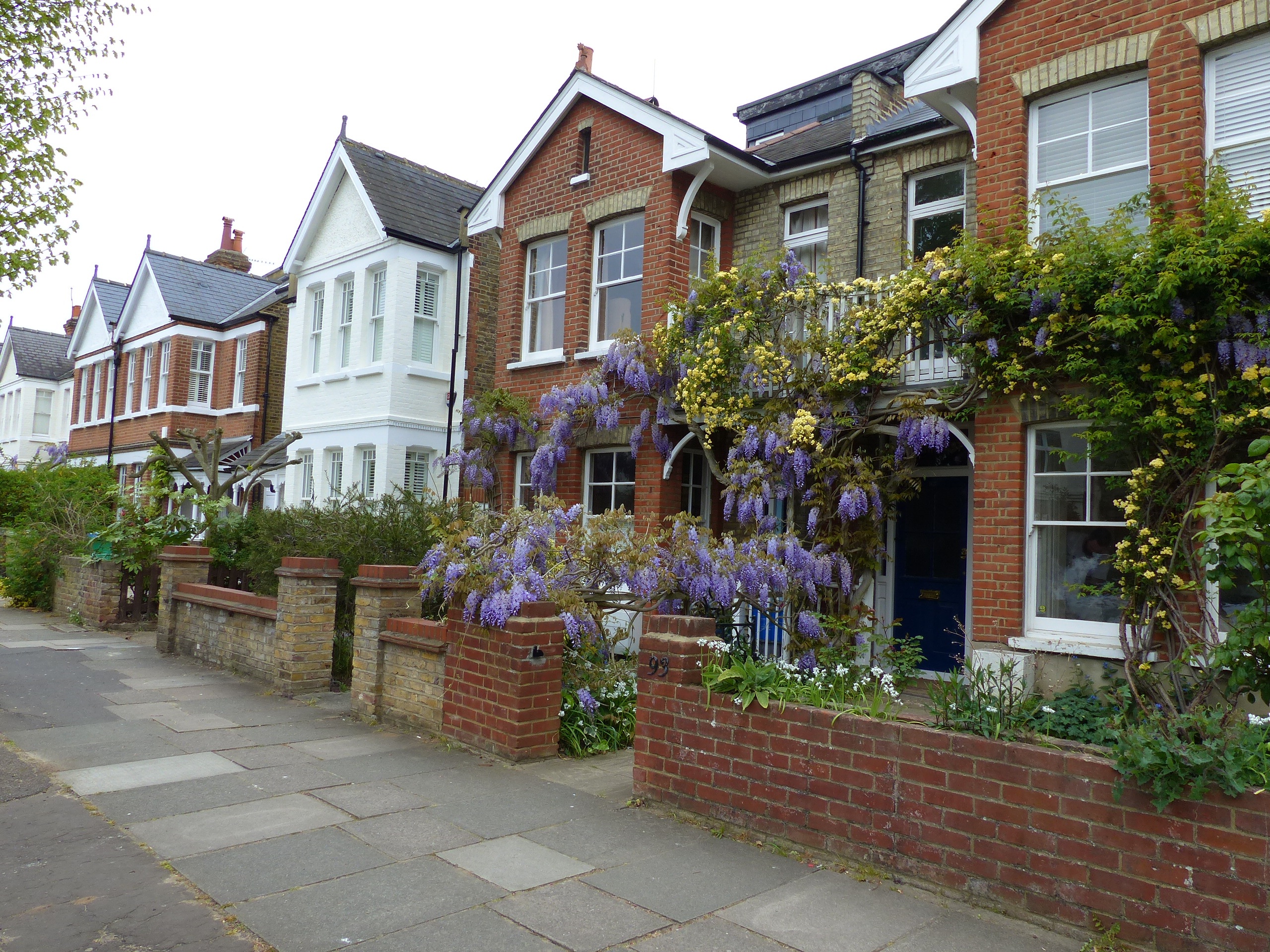 tree, day, residential district, semi-detached houses, plant, english house, britain, 2K, growth, no people, regency classicism, building, brick, property, HD Wallpaper
