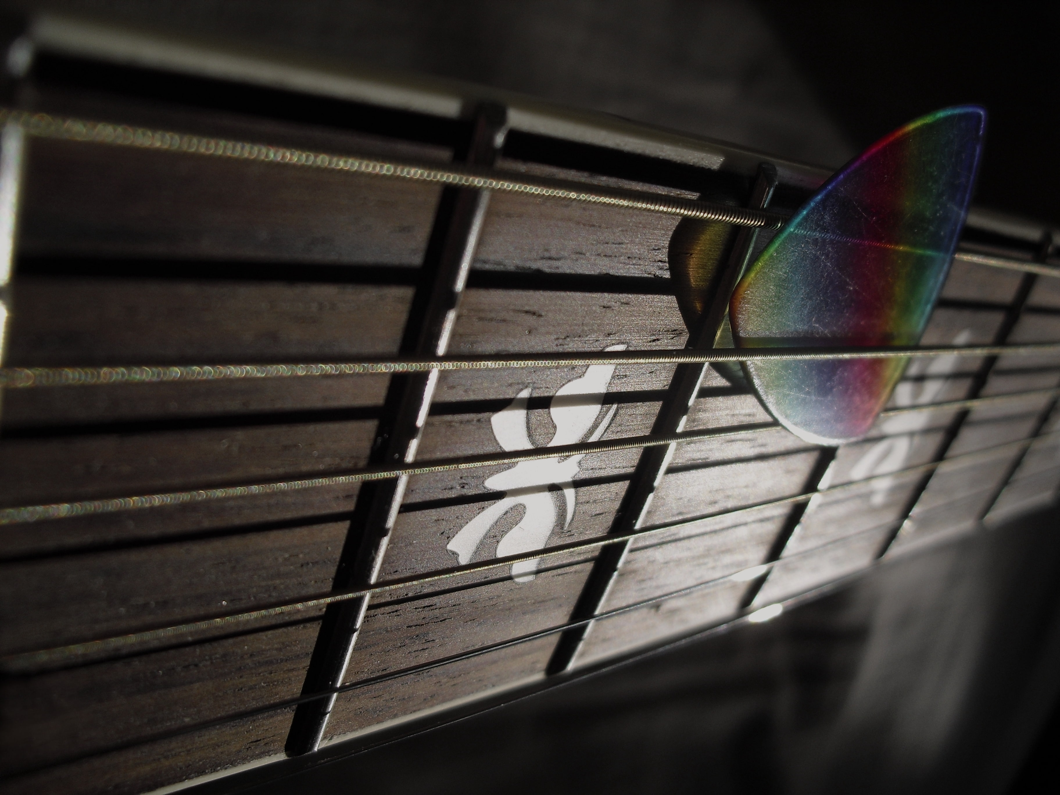 Guitar, Grif, Frets, 2K, Macro, Strings, The mediator, HD Wallpaper