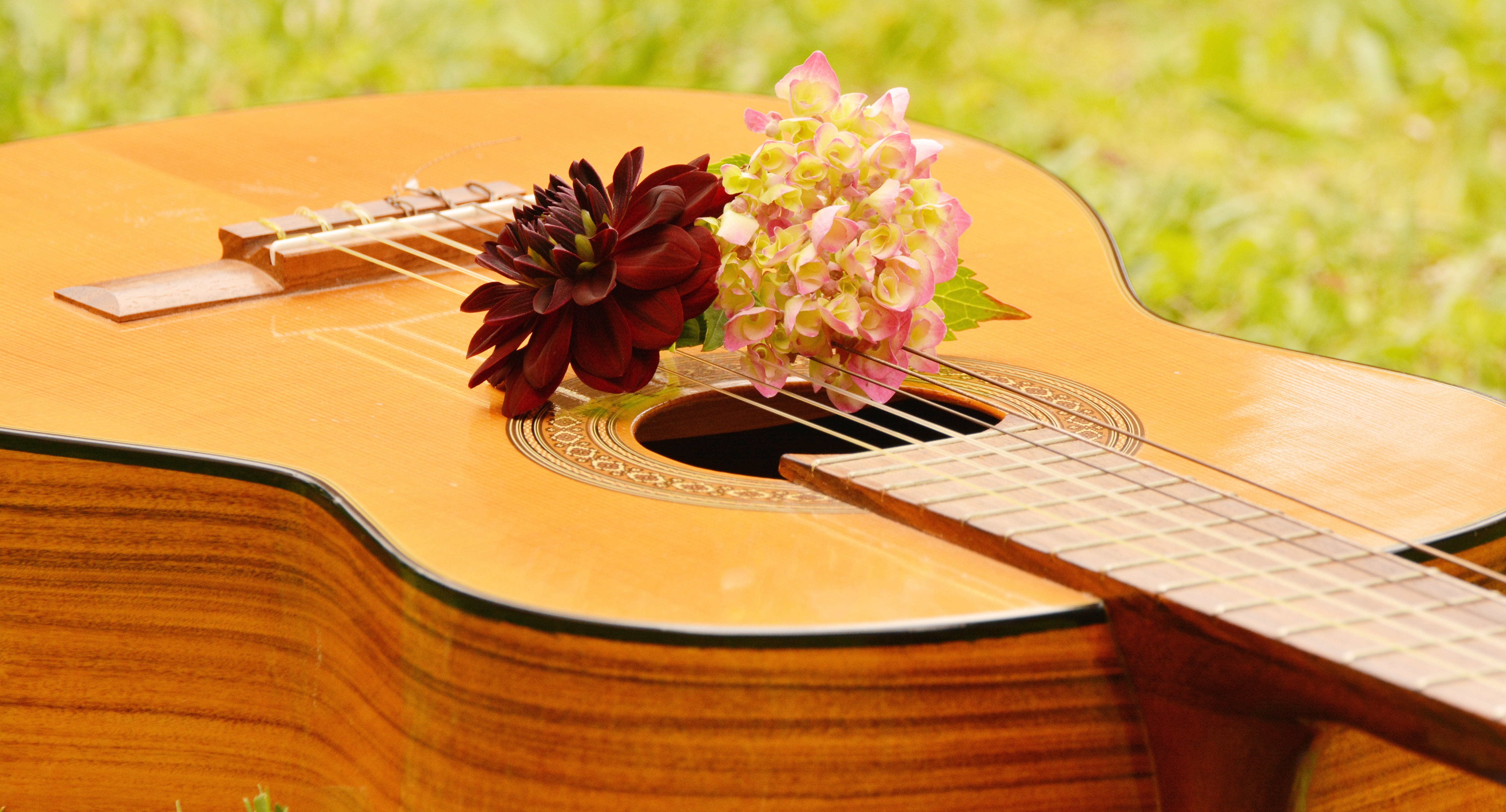 flower, craft, floral greeting, musical equipment, string, flower arrangement, stringed instrument, guitar, no people, brown, arts culture and entertainment, HD Wallpaper