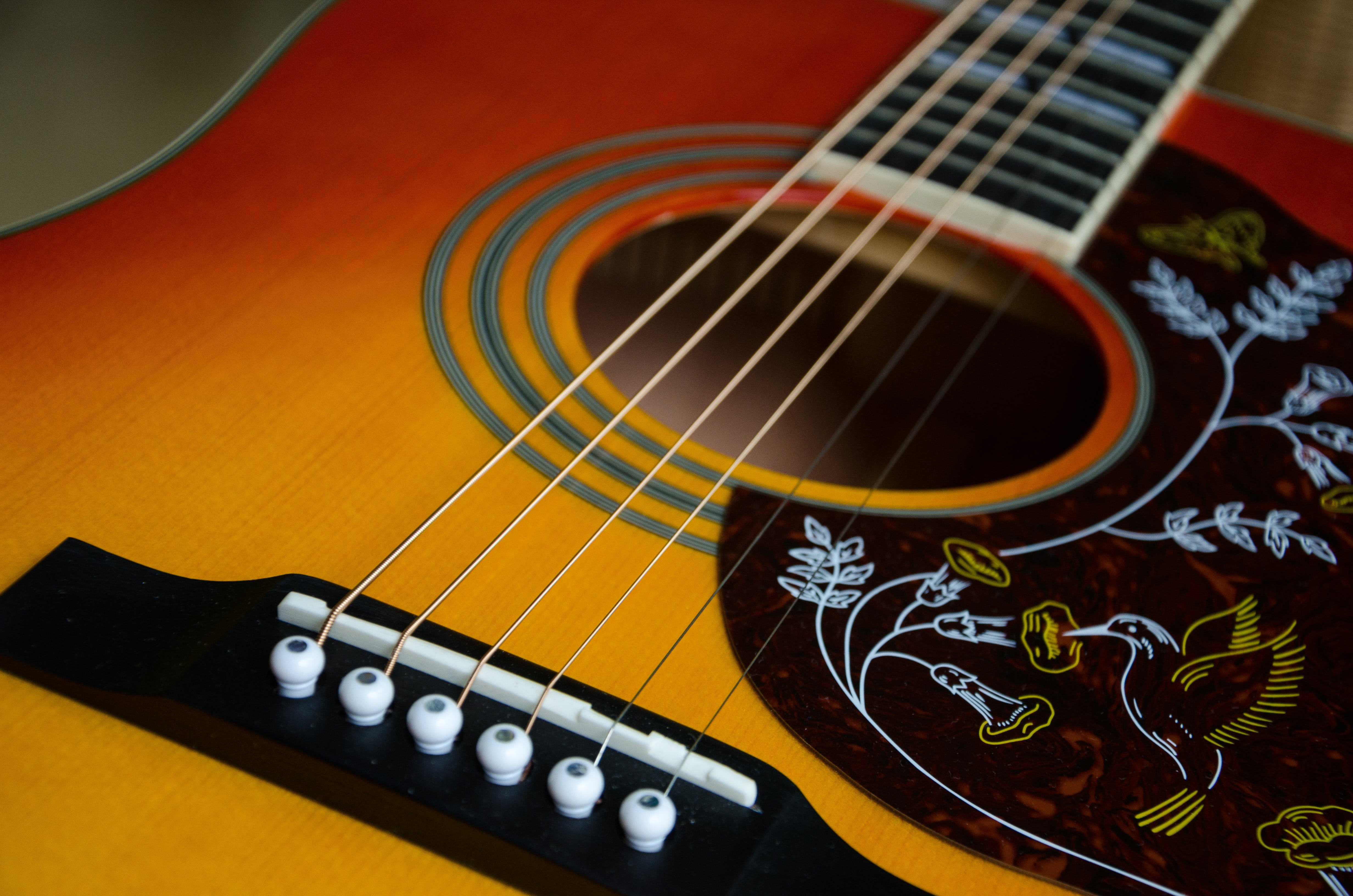 6 string, still life, musical Instrument, high angle view, colored background, stringed instrument, arts culture and entertainment, fretboard, pattern, HD Wallpaper