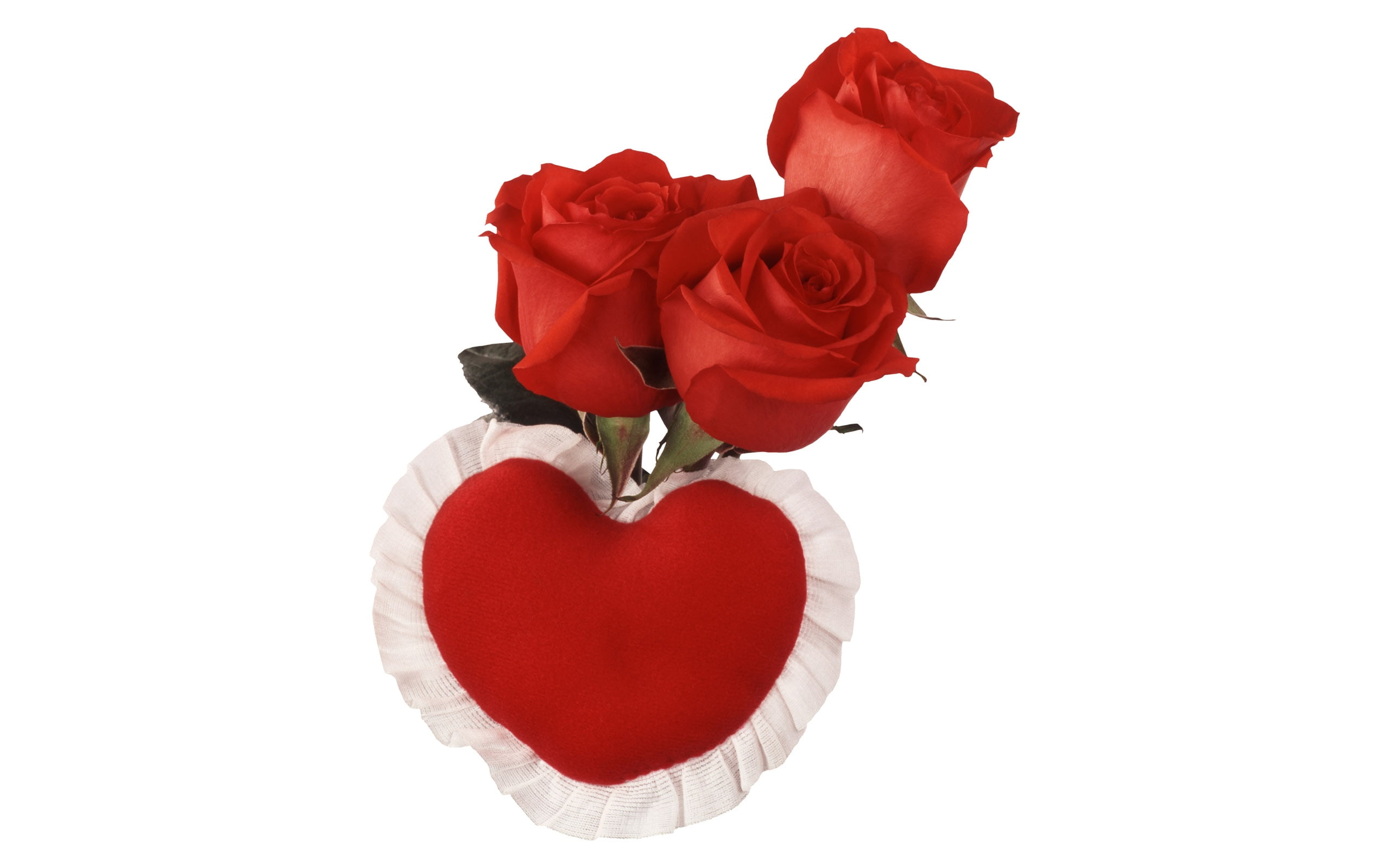 passion, emotion, flower, heart, cut out, rose - Flower, buds, studio shot, rose, 2K, single Object, valentine Card, backgrounds, red, decoration, heart Shape, HD Wallpaper