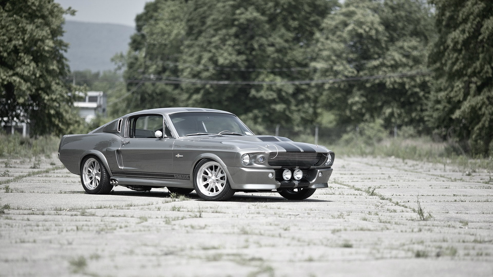 1080P, GT500, Shelby Eleanor, tuning, Ford Mustang, HD Wallpaper