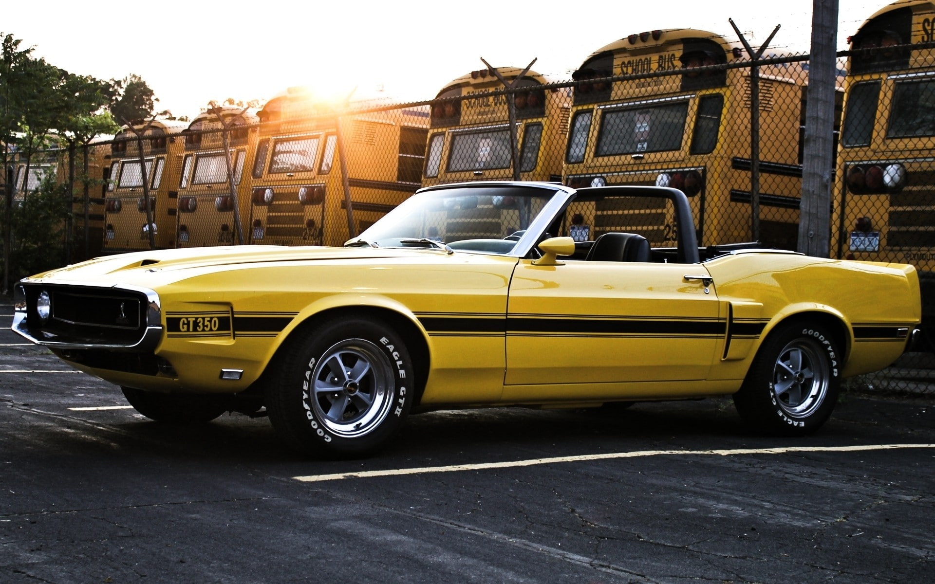 Ford Mustang, Shelby GT350, 1080P, car, HD Wallpaper