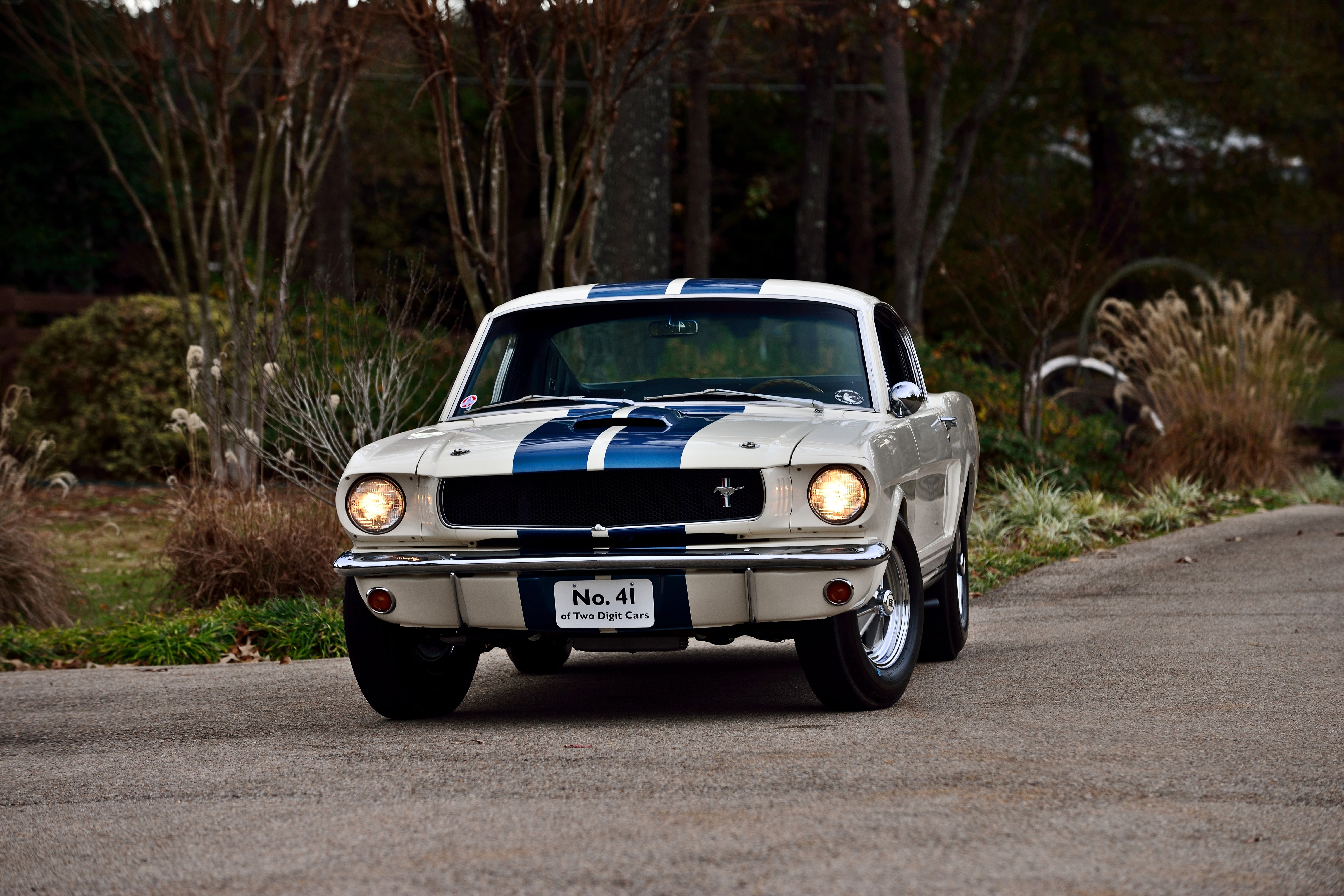 fastback, gt350, original, mustang, 1965, ford, shelby, old, usa, 5K, muscle, classic, HD Wallpaper
