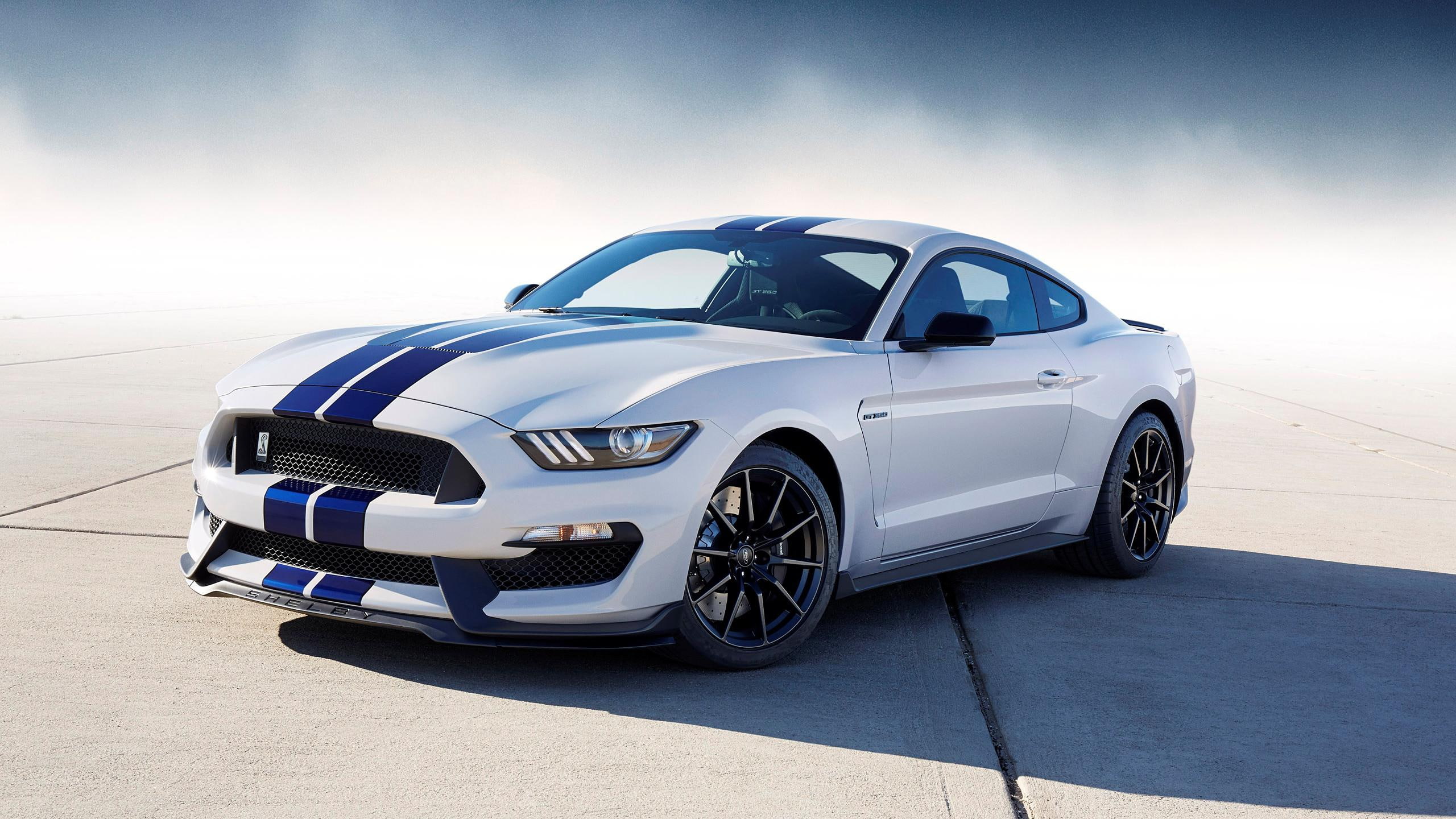 mustang, white, ford, shelby, gt, 2K, cars, 2016, HD Wallpaper