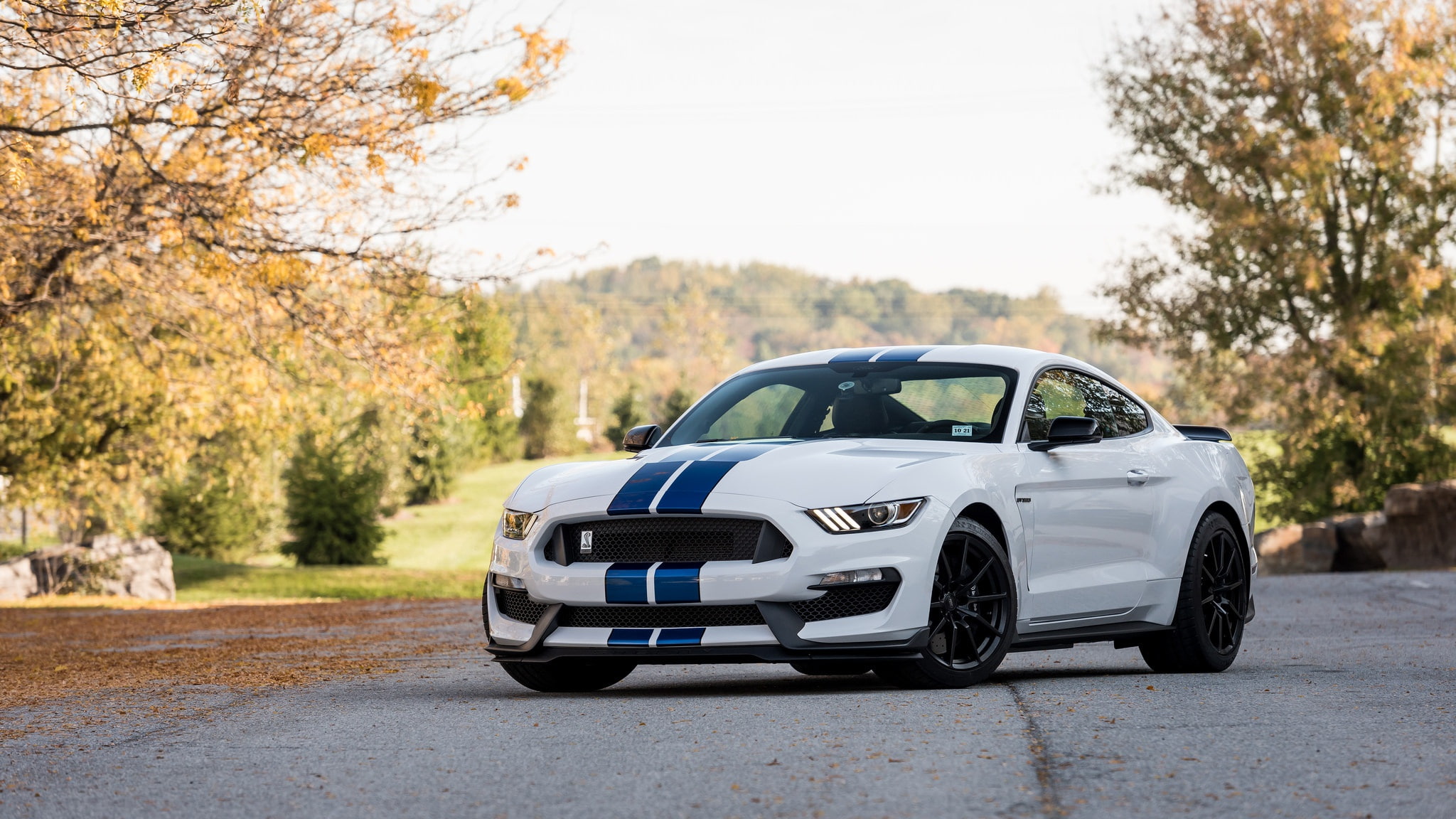 Shelby GT350, 1080P, Depth Of Field, nature, car, Ford Mustang Shelby, HD Wallpaper