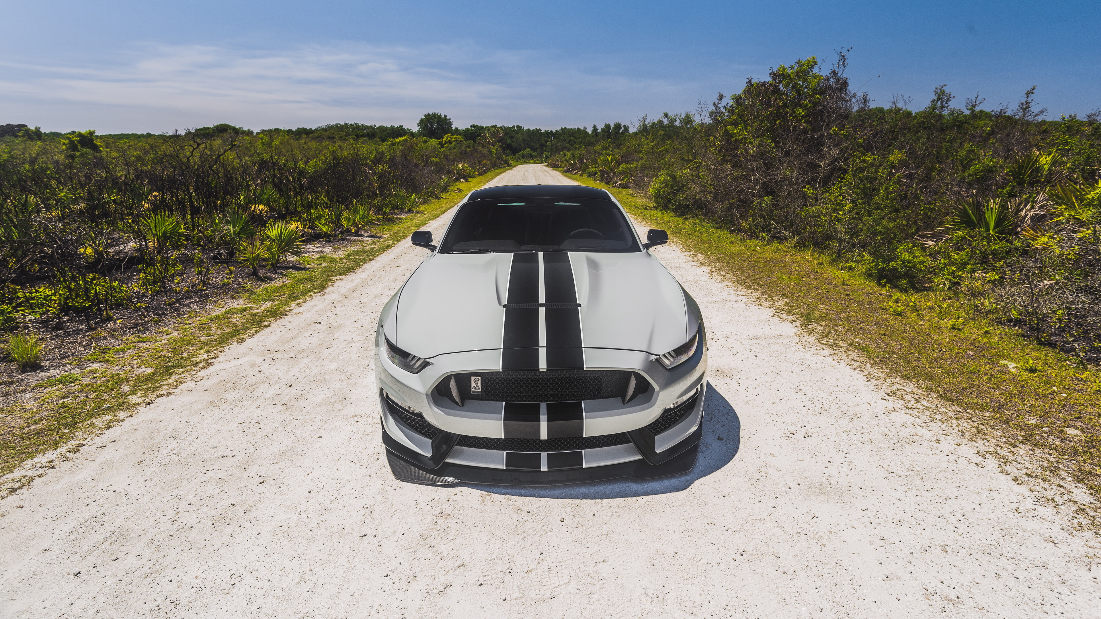 Ford Mustang, GT350, Shelby GT350, Shelby, Ford, Mustang, Ford Mustang Shelby GT350, 4K, HD Wallpaper