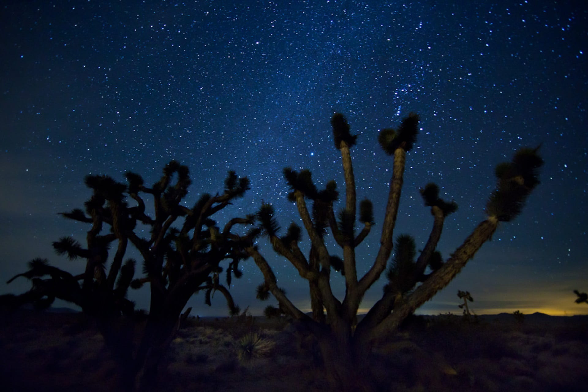 land, sky, plant, outdoors, silhouette, moonlight, mountains, desert, nebula, cactus, no people, nature, dark, milky way, succulent plant, galaxy, space, HD Wallpaper
