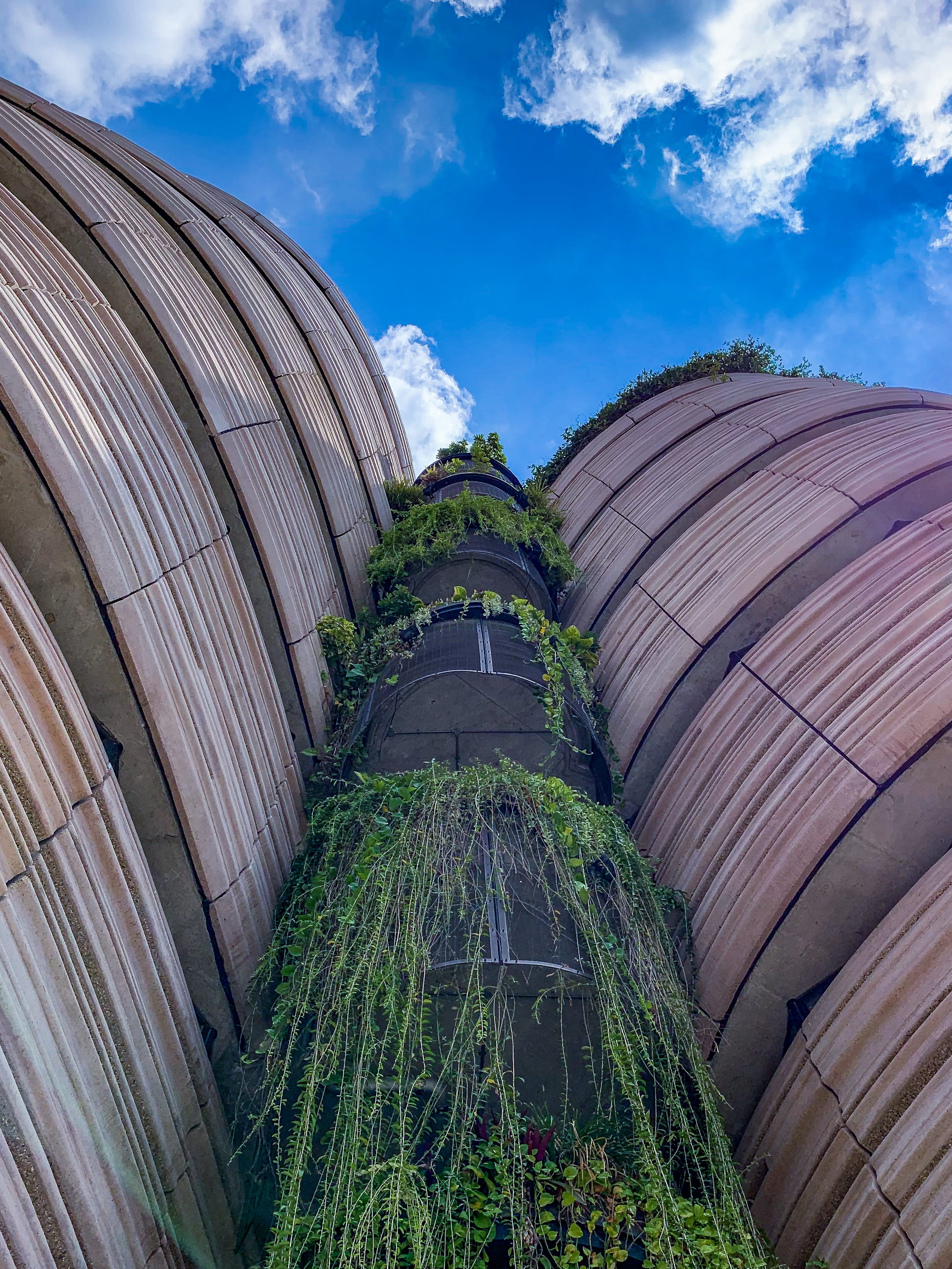tourism, dome, built structure, growth, tree, 2K, travel destinations, planetarium, place of worship, shotoniphone, singapore, office building, architecture, Phone HD Wallpaper