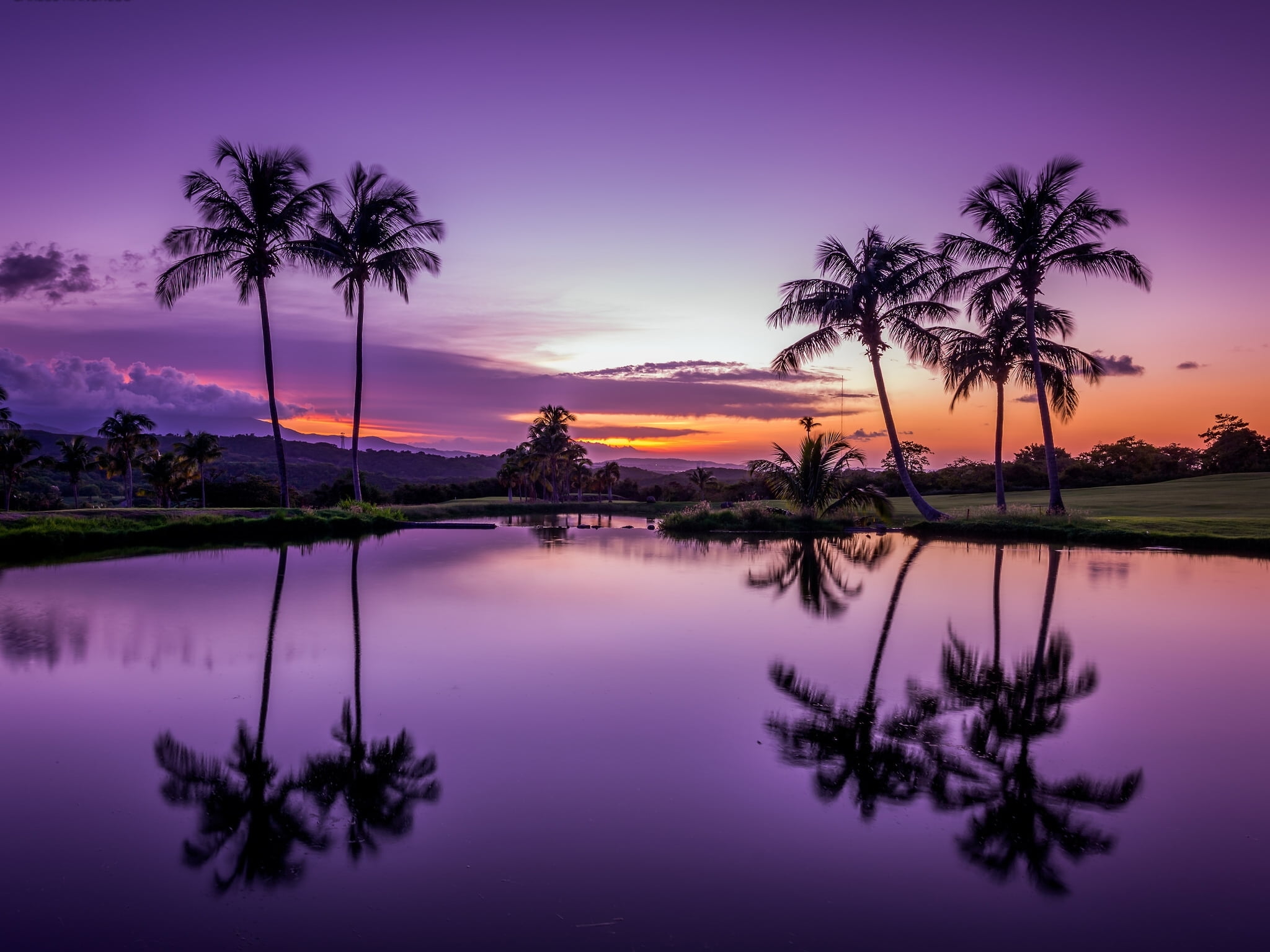 lake, photography, beauty in nature, romantic sky, tranquil scene, tropics, reflecting, dusk, 1080P, Fajardo, trees, tree, coconut, water, no people, palm trees, HD Wallpaper