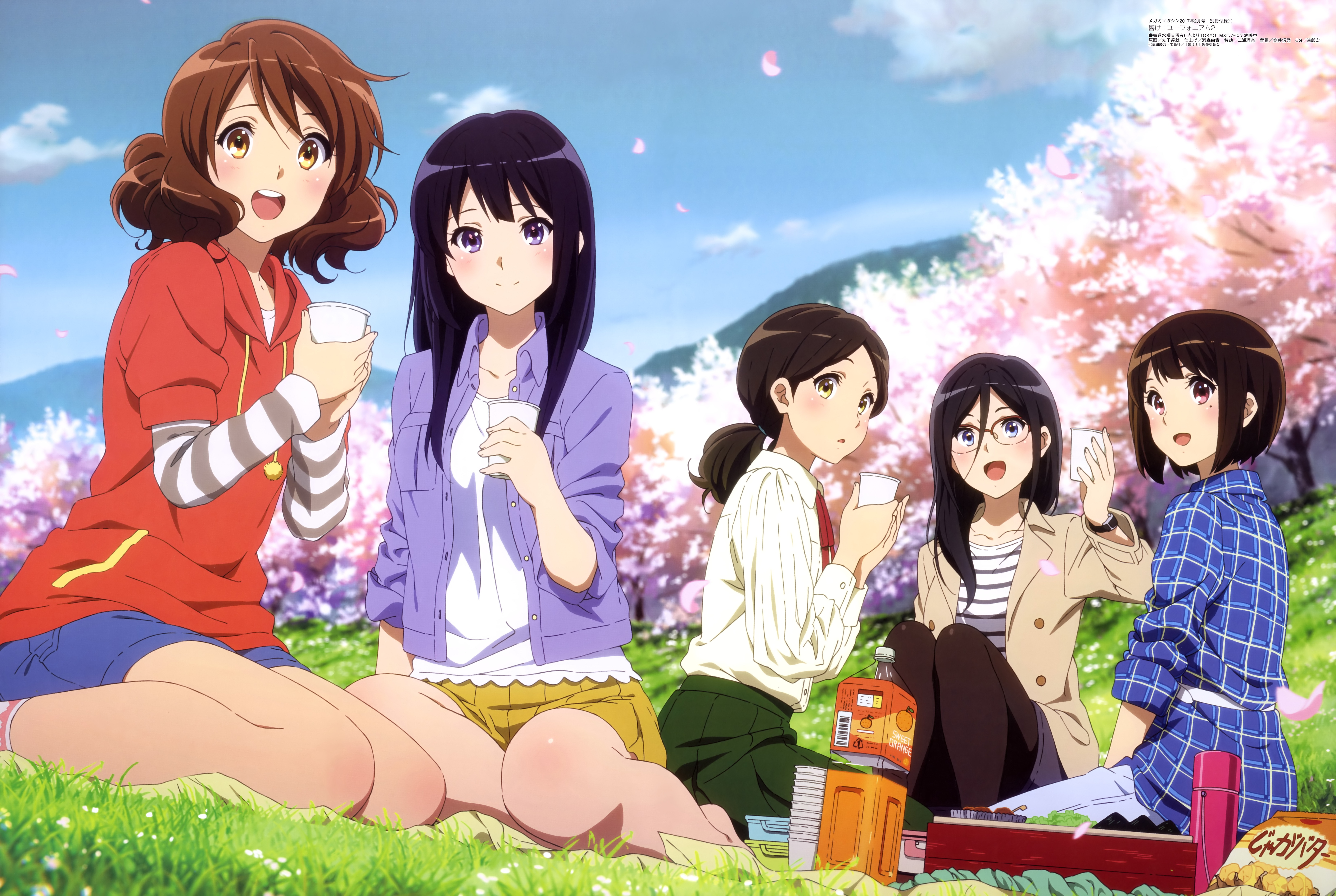 childhood, women, adult, Anime, group of people, celebration, 8K, kousaka reina, day, nakaseko kaori, human representation, art and craft, oumae kumiko, HD Wallpaper