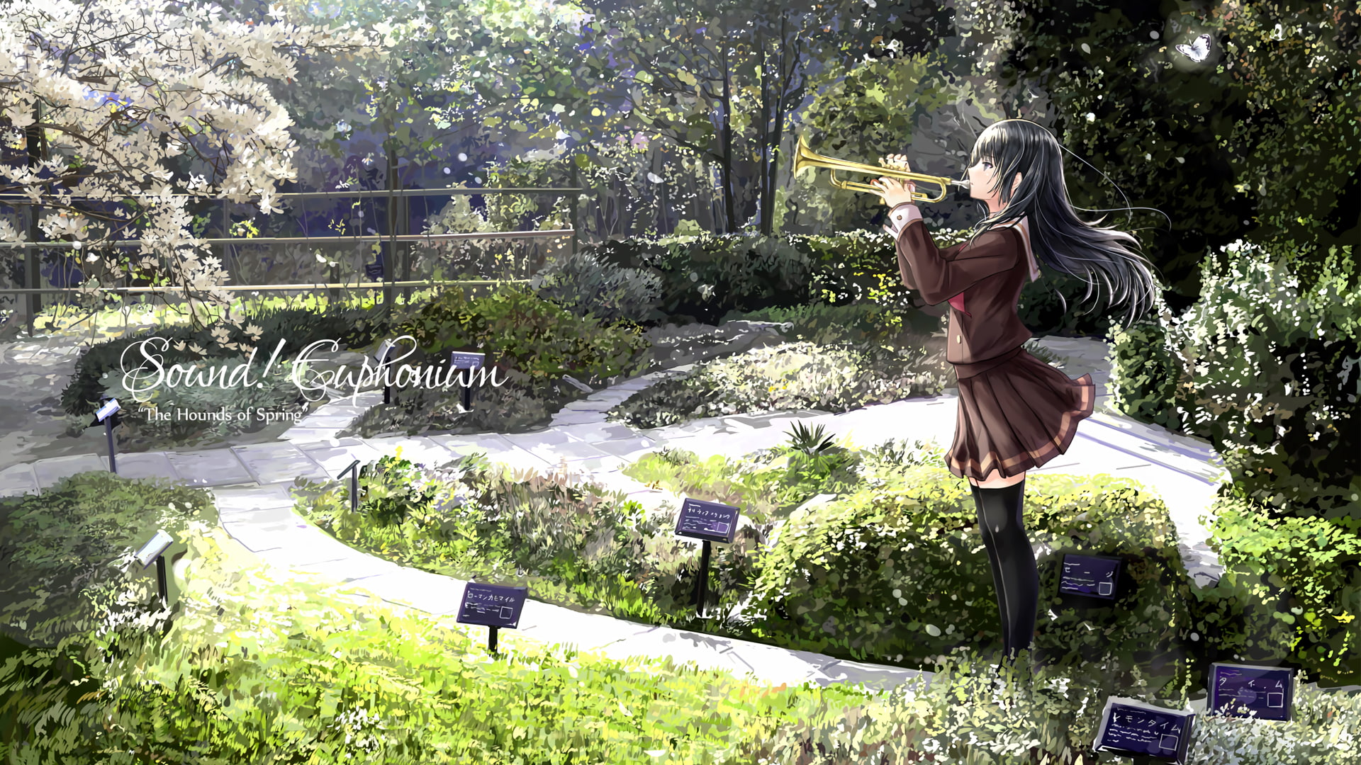 outdoors, lifestyles, tree, 1080P, Hibike! Euphonium, young adult, women, full length, females, plant, Kousaka Reina, growth, day, hairstyle, holding, HD Wallpaper