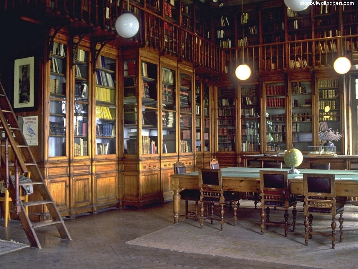 architecture, book, business, lighting equipment, building, chair, bookshelf, wood - material, room, library, shelf, 480P, brown, wooden, education, antique, HD Wallpaper