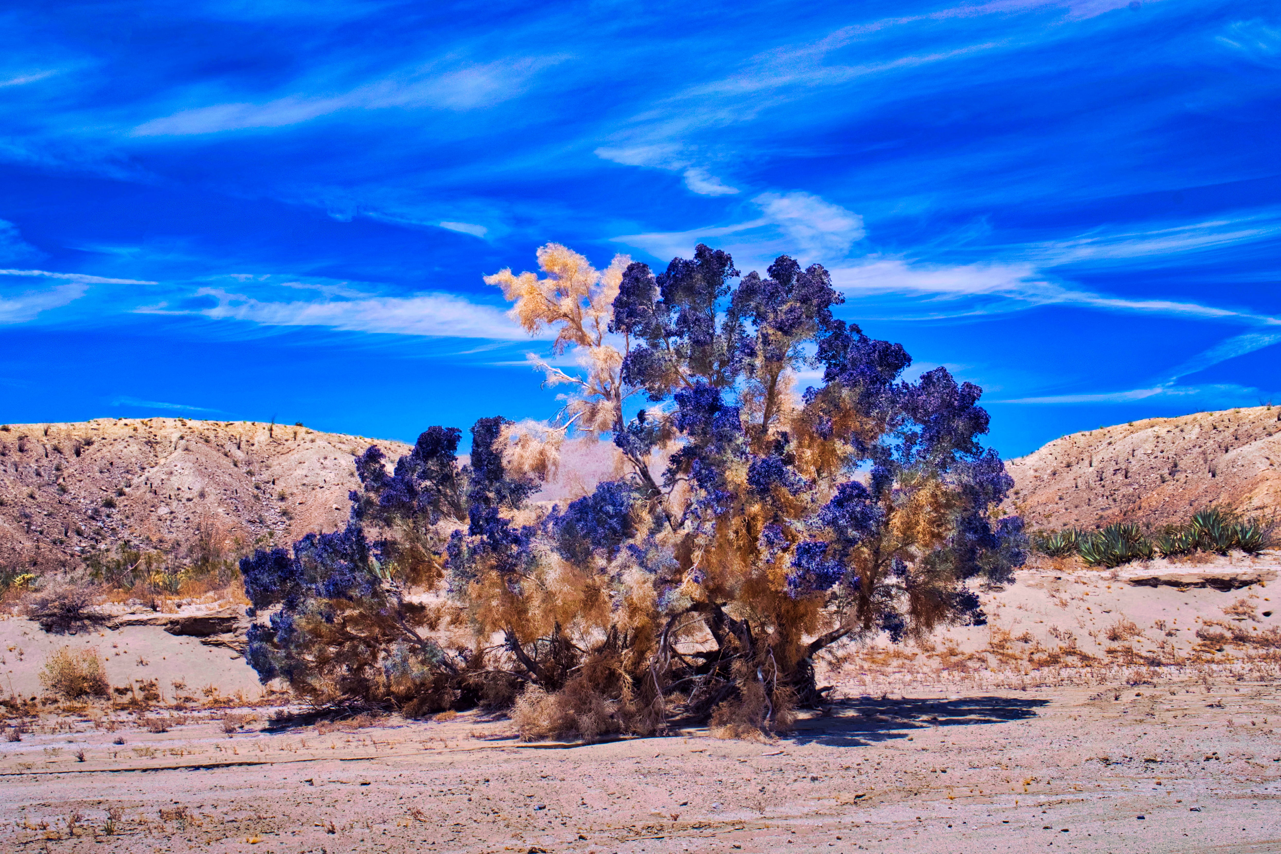 sky, land, 4K, hyperrealism, semi-arid, desert, brown, outdoors, environment, scenics - nature, beauty in nature, tranquility, rock, rock - object, travel destinations, HD Wallpaper