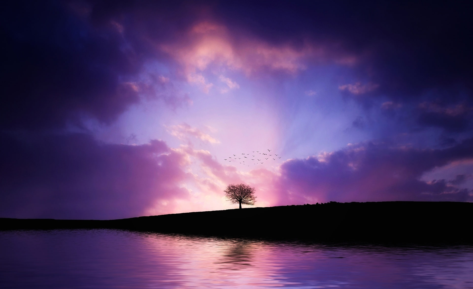 dark, Sunset, Creative, Aero, lone, scenics - nature, sky, Tree, Breathtaking, Lake, singletree, 1080P, Clouds, reflection, onetree, dramatic sky, beauty in nature, HD Wallpaper
