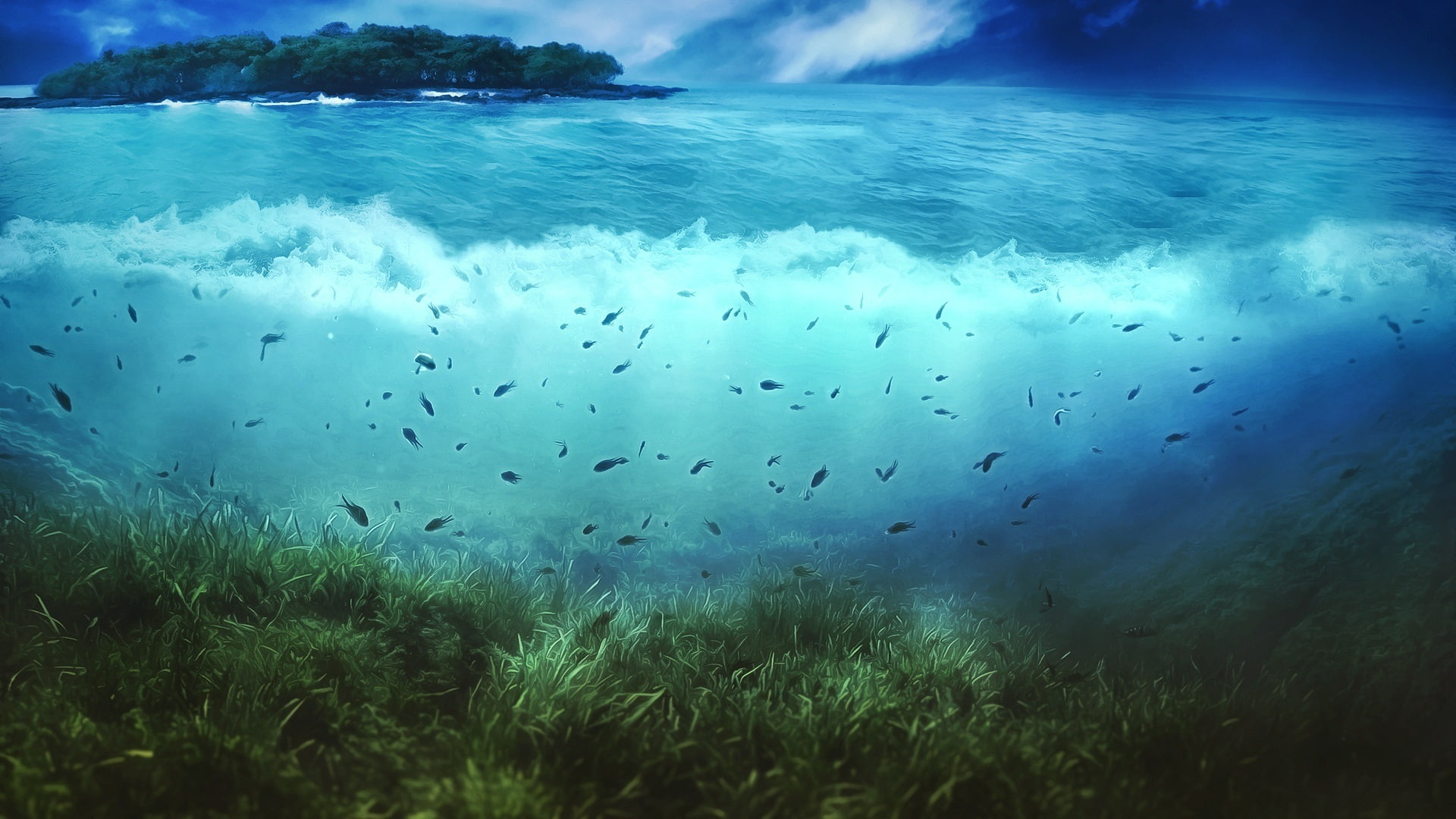 Algae, Creative, Pictures, Water, Island, Trees, Fish, 1080P, HD Wallpaper
