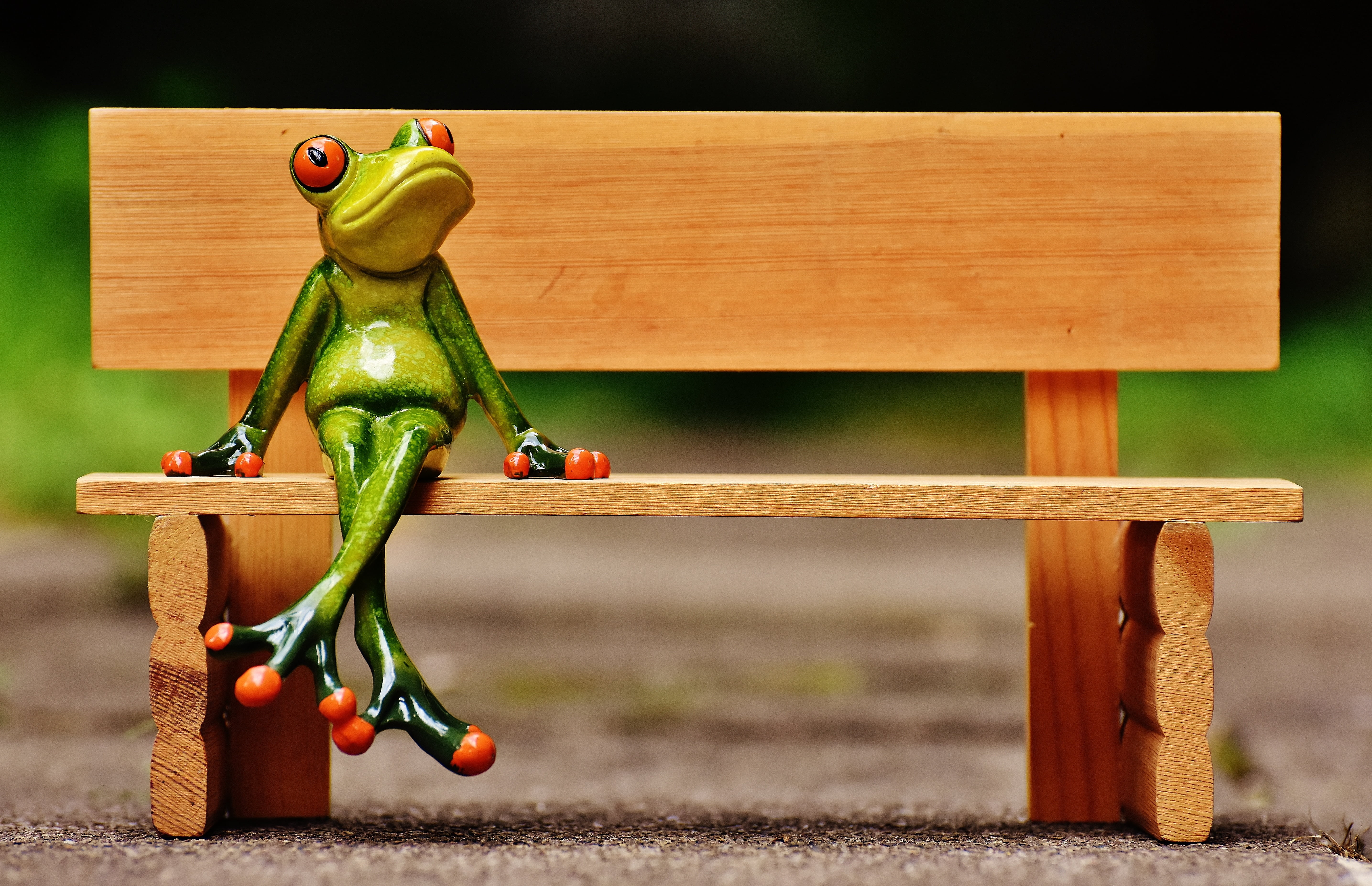 cute, creativity, bank, rest, wood - material, food, bench, small, break, photography, 5K, funny, toy, sit, healthy eating, nature, are, frog, yellow, HD Wallpaper