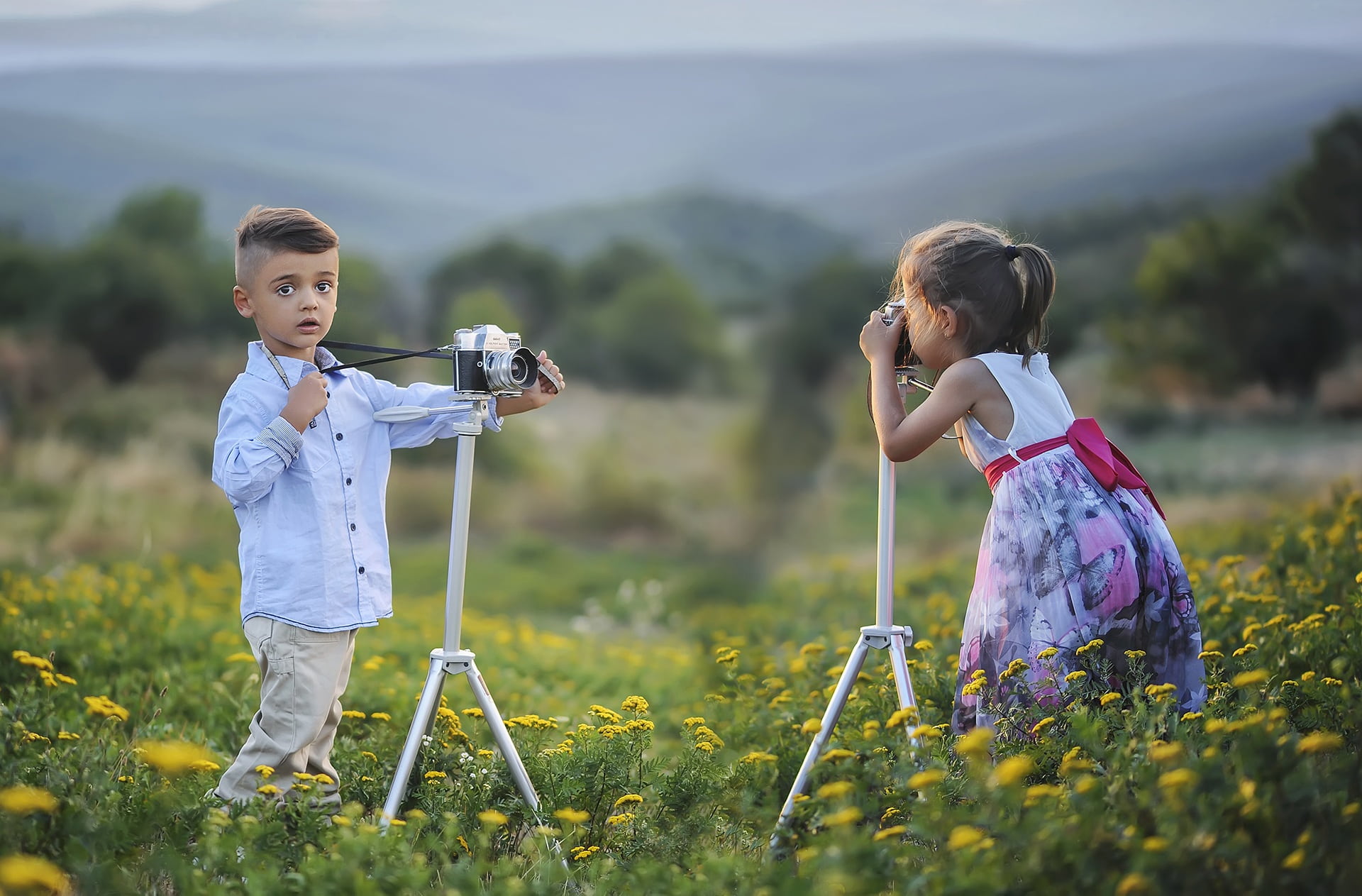 meadow, nature, girl, grass, lifestyle, boy, taking, small, females, child, selective, photographer, people, plant, togetherness, offspring, girls, day, HD Wallpaper