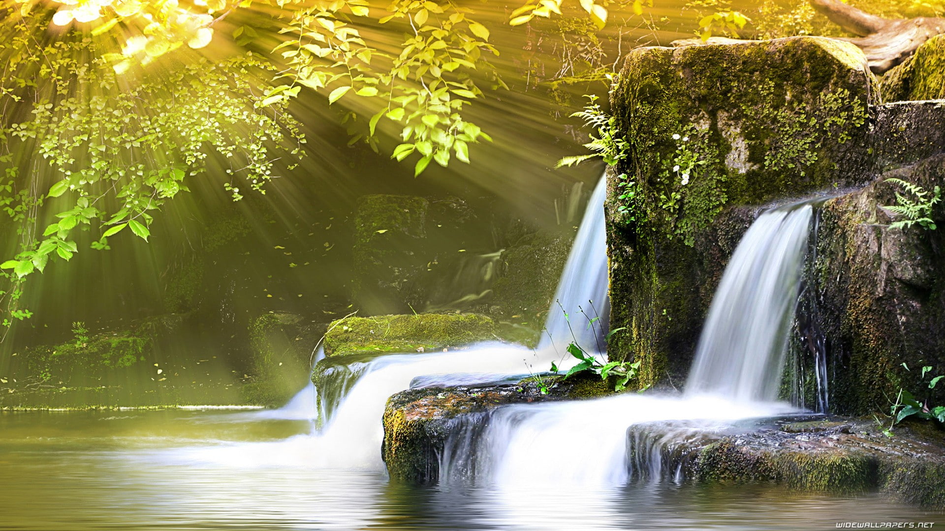 moss, sunlight, tropical, hd, tree, leaf, jungle, waterfall, timelapse, nature, green, 1080P, stones, ovate, forest, rocks, gray, HD Wallpaper