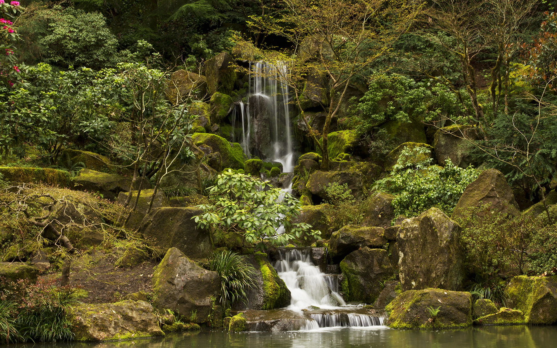 stones, green, hd, waterfalls, jungle, moss, waterfall, nature, 1080P, trees, forest, rocks, HD Wallpaper