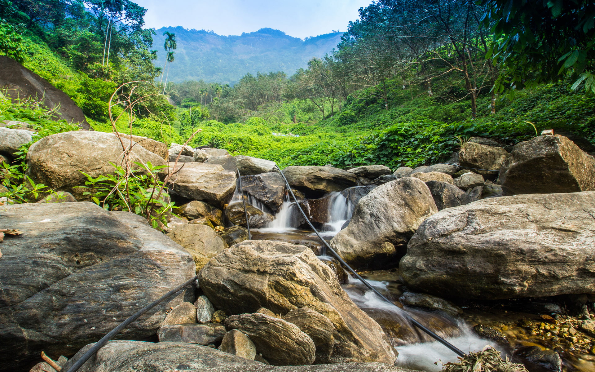 nature, jungle, rocks, 1080P, stream, hd, stones, forest, HD Wallpaper