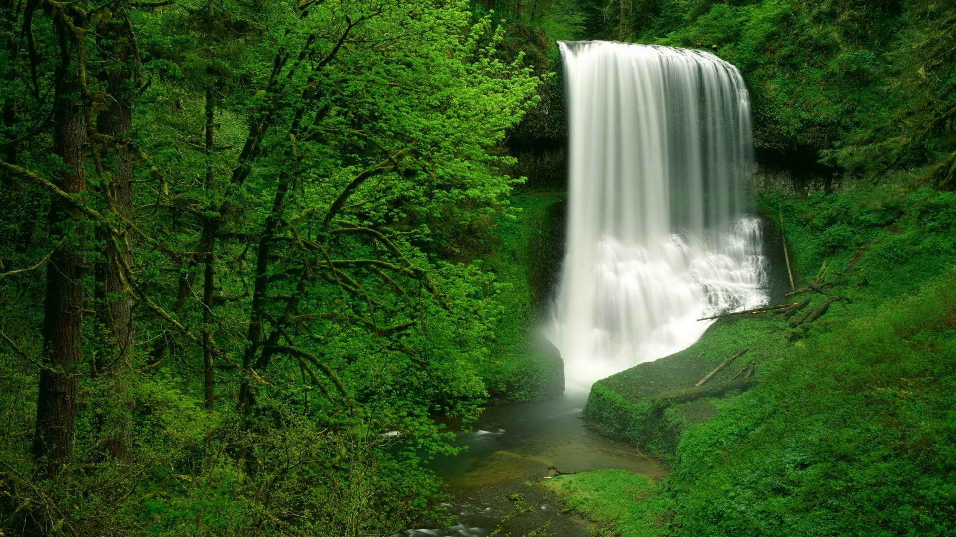 waterfall, forest, jungle, timelapse, tropical, trees, hd, 1080P, nature, HD Wallpaper